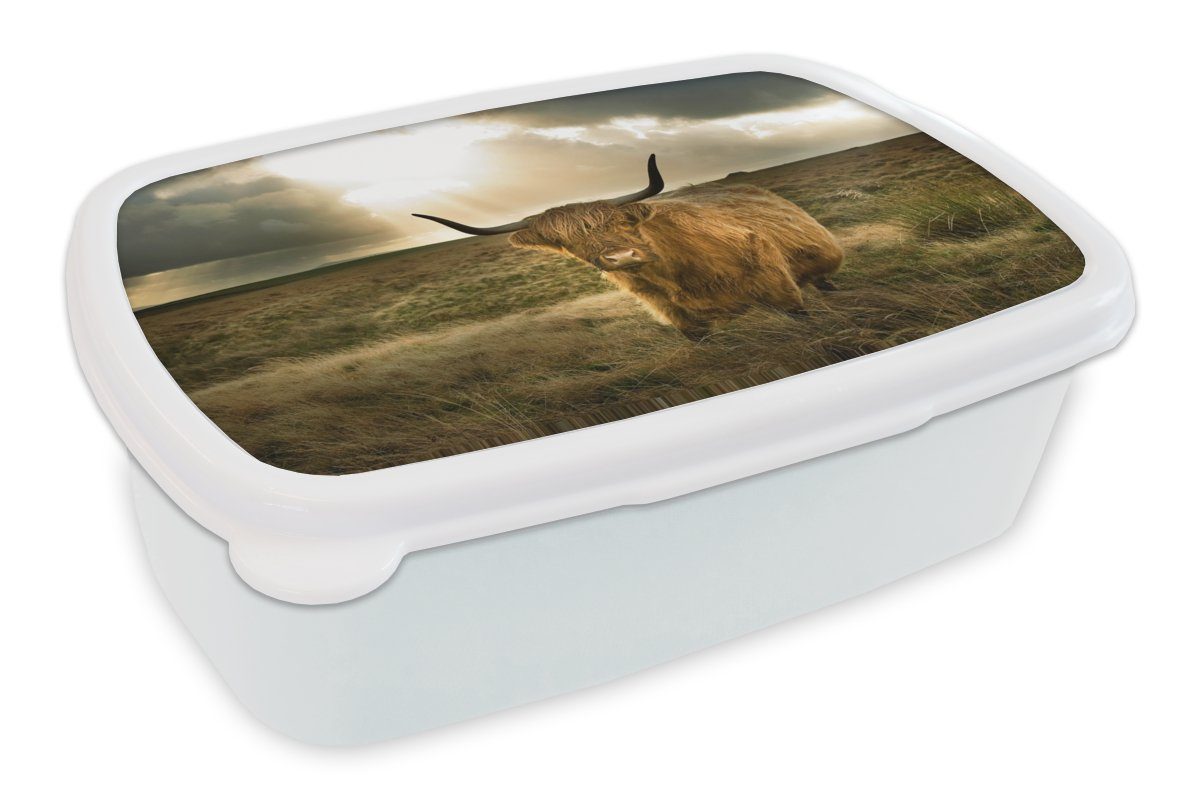 MuchoWow Lunchbox Schottischer Hochländer - Sonne - Tiere, Kunststoff, (2-tlg), Brotbox für Kinder und Erwachsene, Brotdose, für Jungs und Mädchen weiß | Lunchboxen