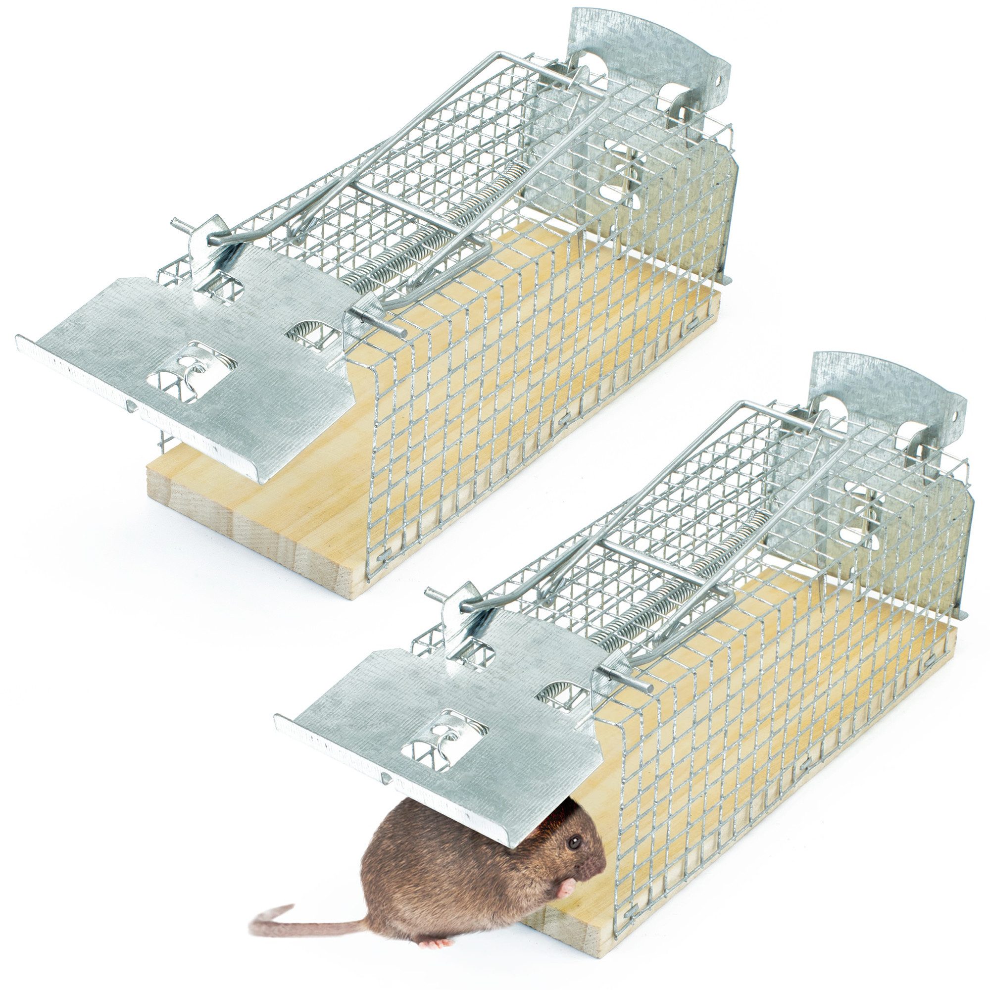 Lebendfalle Lebendfalle für Mäuse – tierfreundliche Alternative zu Schlagfallen