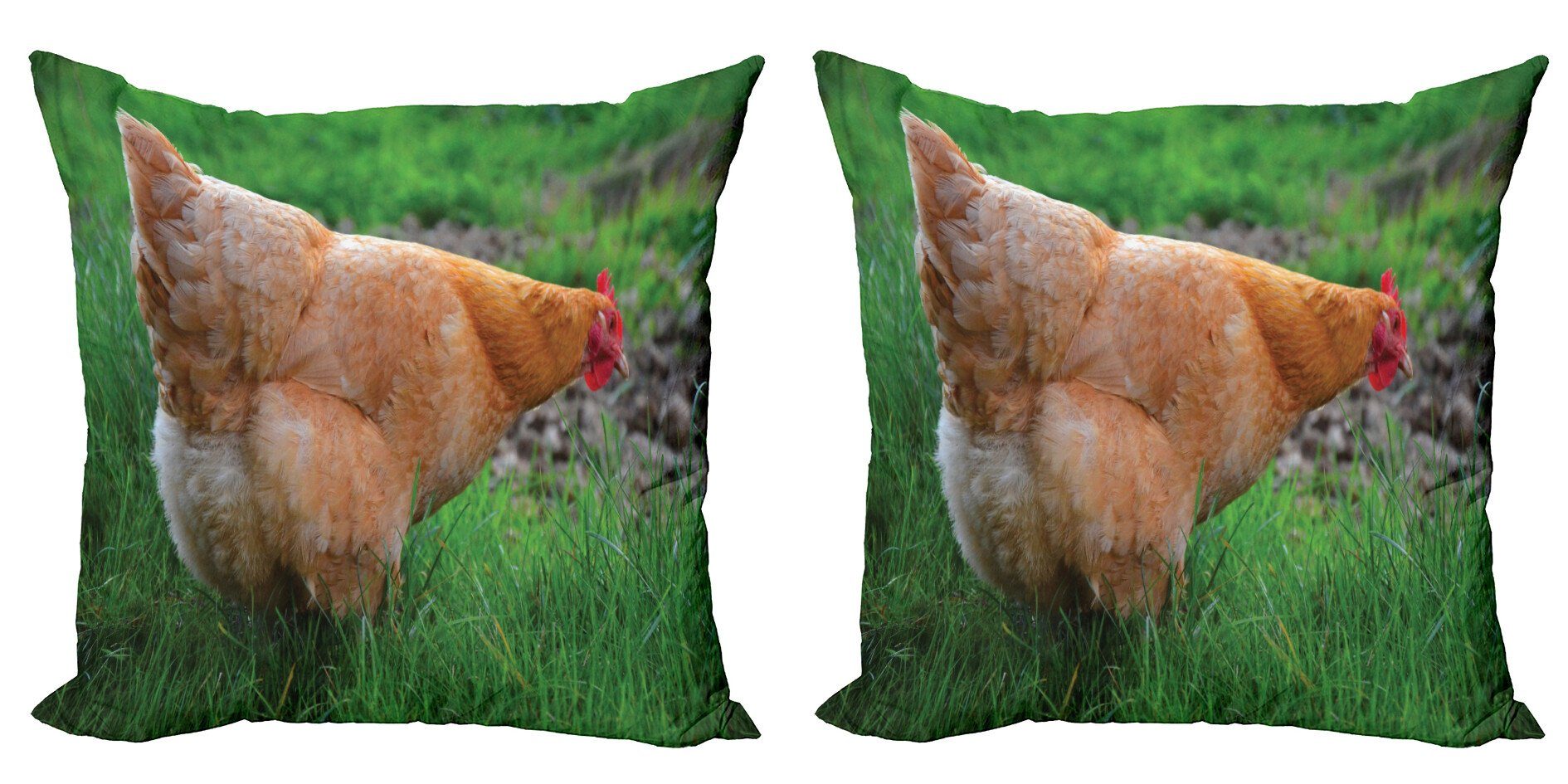 (2 Foto Farm Stück), Accent Huhn auf Kissenbezüge Doppelseitiger Henne Digitaldruck, Modern Abakuhaus Gras