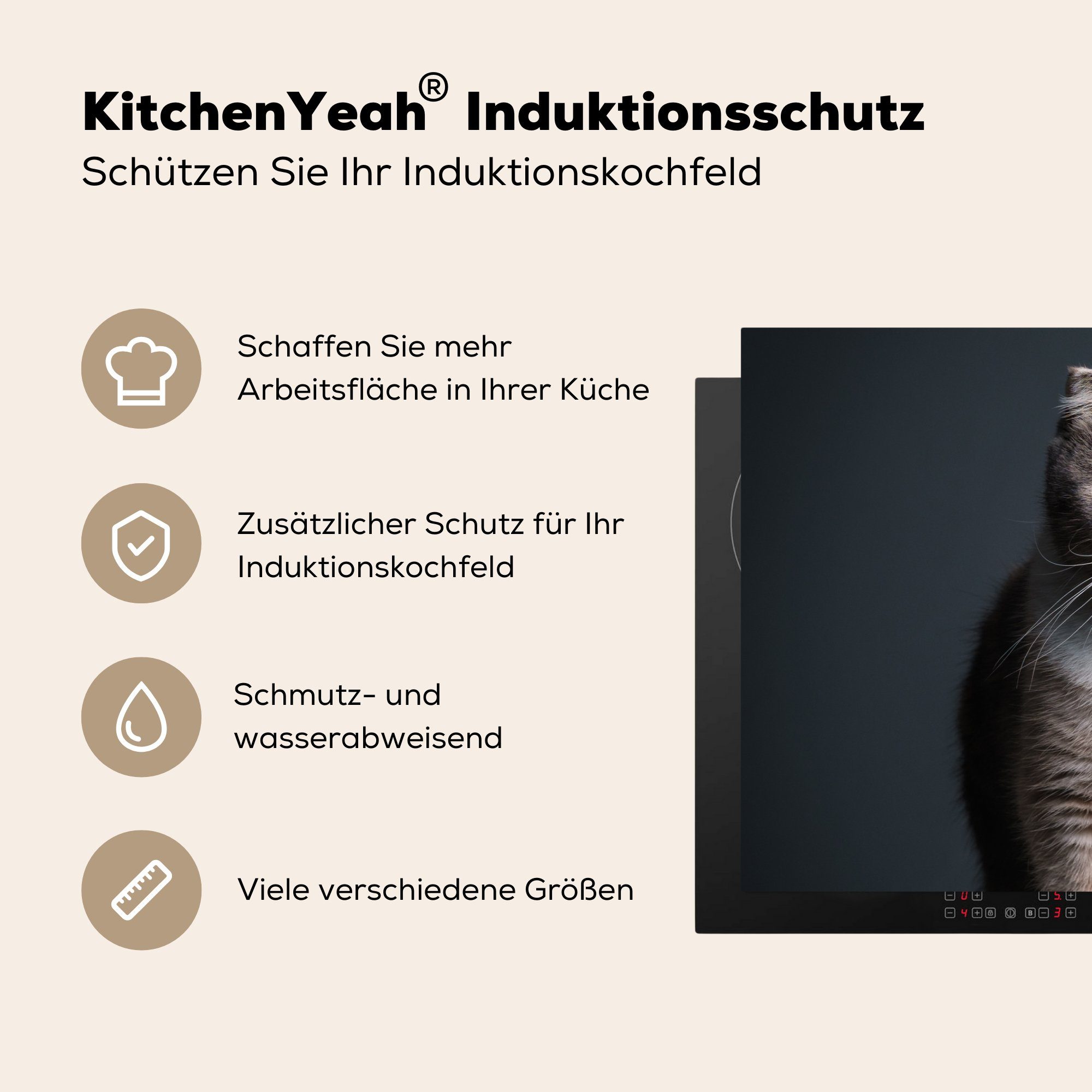küche, Licht, - Induktionskochfeld die MuchoWow Katze tlg), Herdblende-/Abdeckplatte Vinyl, 81x52 Schutz Ceranfeldabdeckung - Haustiere cm, (1 für