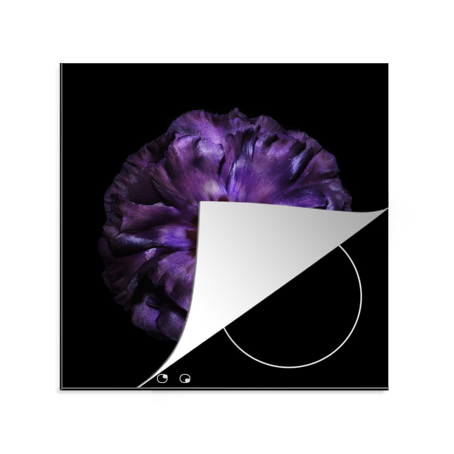 MuchoWow Herdblende-/Abdeckplatte Eine violette vor Vinyl, cm, abgebildet, für küche Hintergrund Ceranfeldabdeckung, (1 tlg), 78x78 Blume Arbeitsplatte schwarzem