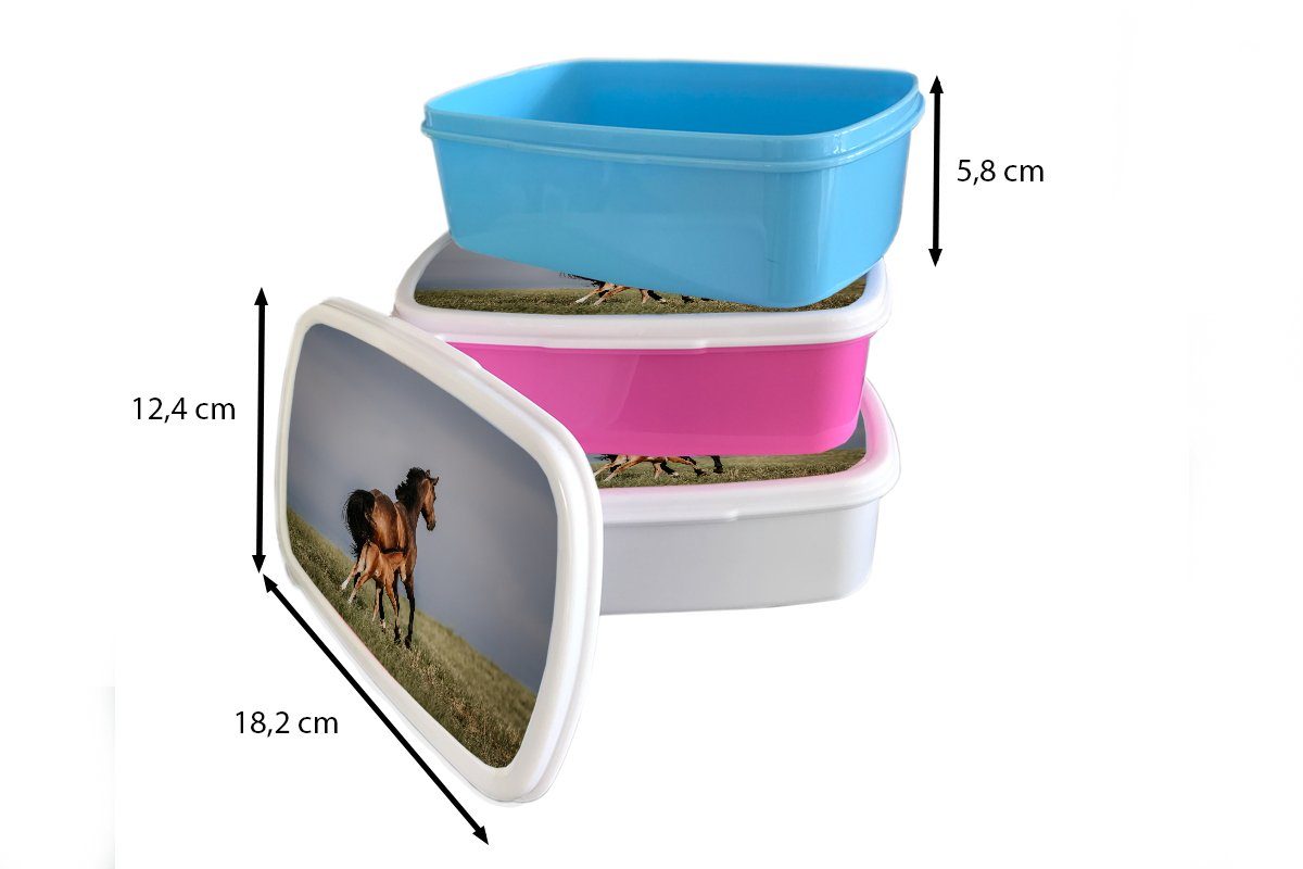 Lunchbox Brotbox Pferde für MuchoWow Mädchen - weiß Kinder - Jungs Kunststoff, Brotdose, Fohlen, Tiere und Erwachsene, (2-tlg), für und