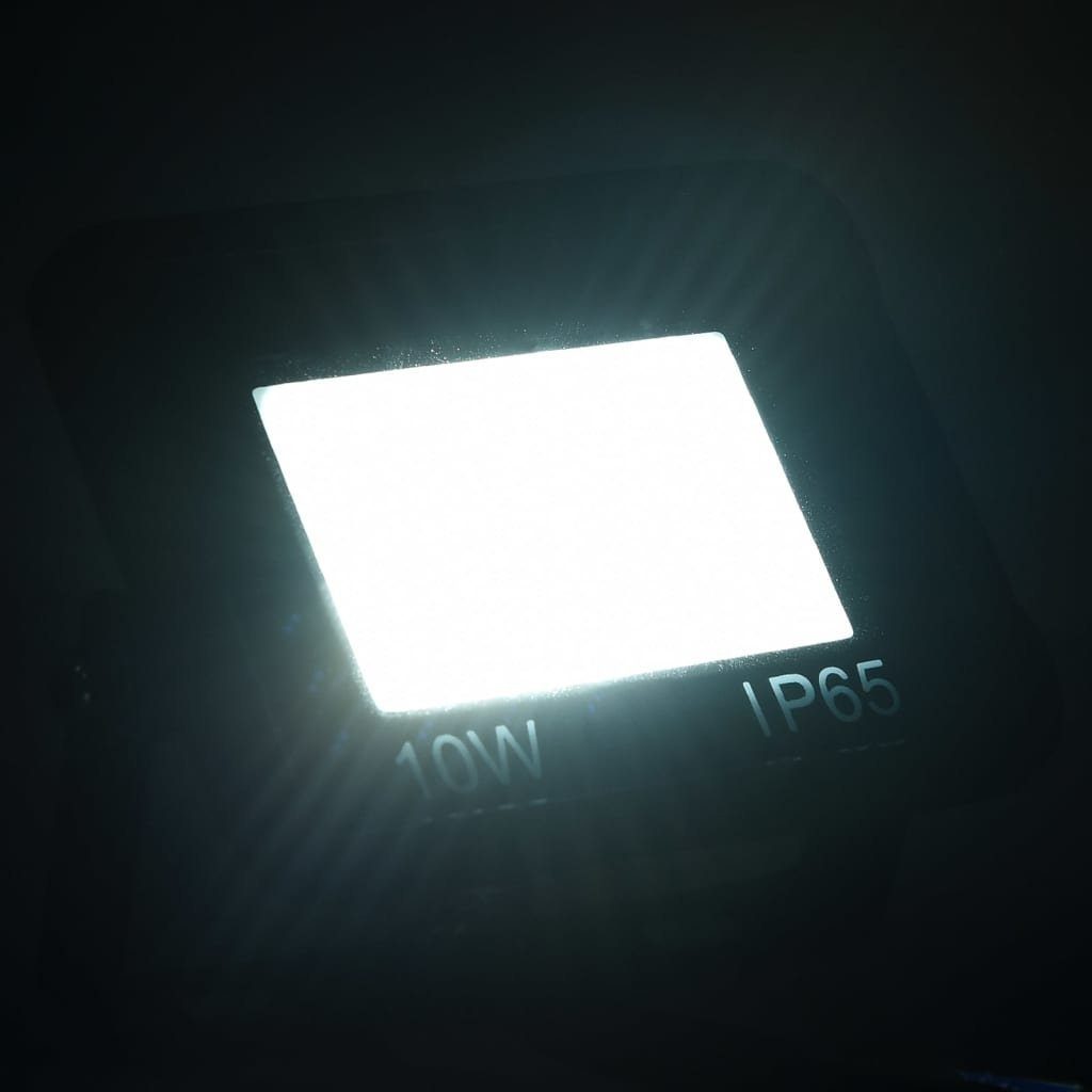 LED-Fluter Flutlichtstrahler W vidaXL Kaltweiß 10