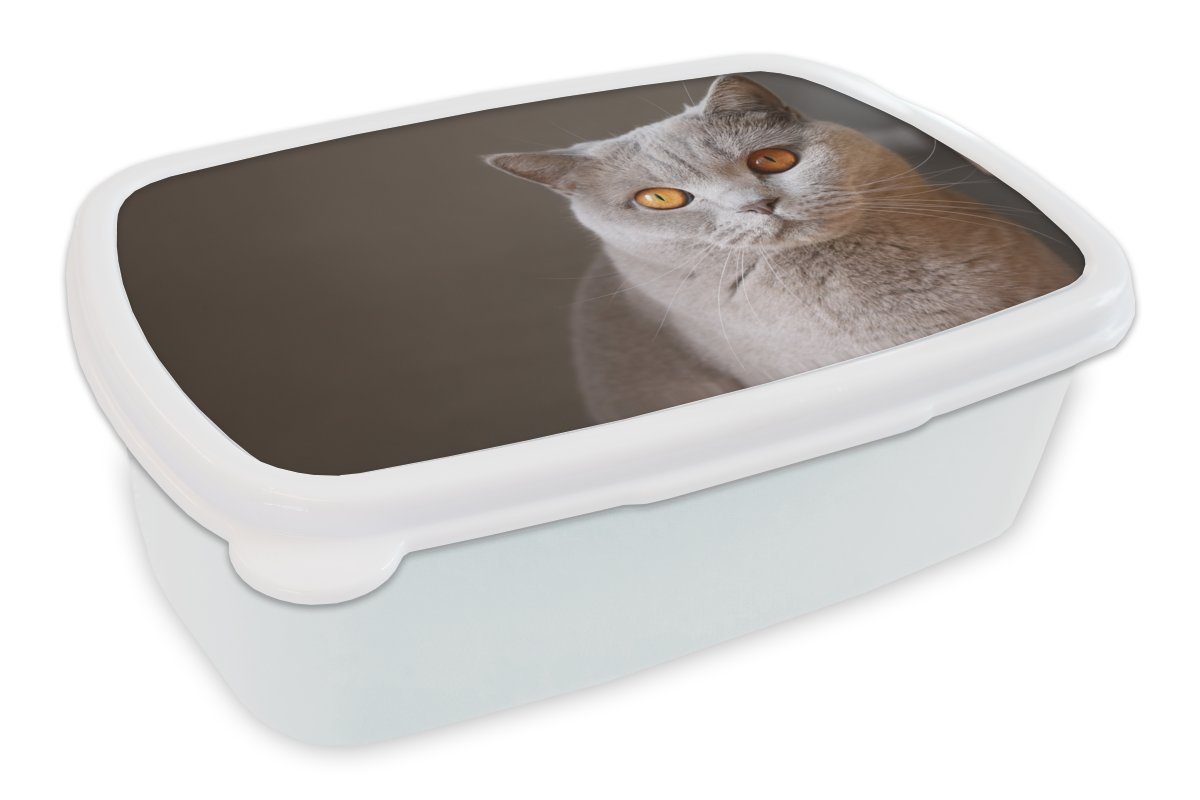 MuchoWow Lunchbox Katze - Tiere - Augen, Kunststoff, (2-tlg), Brotbox für Kinder und Erwachsene, Brotdose, für Jungs und Mädchen weiß