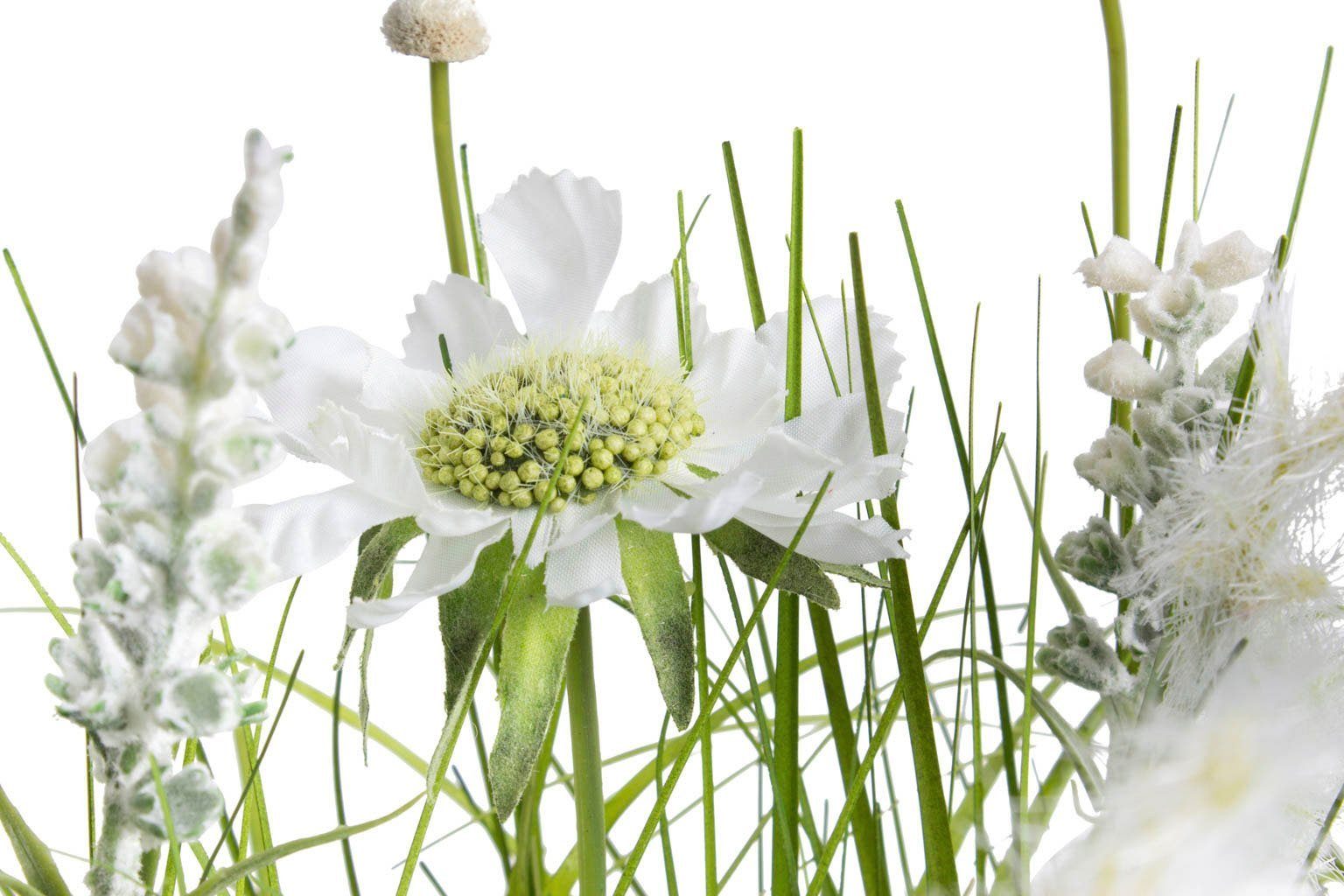 Wiesenblumen cm, Hingucker Höhe die Individueller Kunststofftopf den für Gras, Kunstblume Botanic-Haus, im Fensterbank, Schreibtisch oder Kommode 42