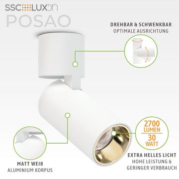 SSC-LUXon Aufbauleuchte POSAO helle Spotstrahler Aufbaulampe 30W warmweiß LED 230V, Warmweiß