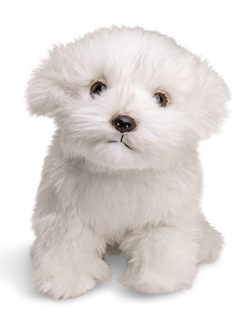Uni-Toys Kuscheltier Malteser (ohne Leine) - 26 cm (Длина) - Plüsch-Hund - Plüschtier, zu 100 % recyceltes Füllmaterial
