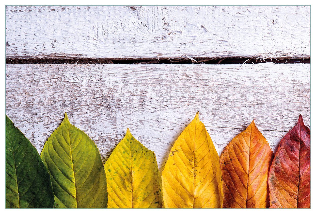 Wallario Küchenrückwand Bunte Herbstblätter auf hellem Holz, (1-tlg)