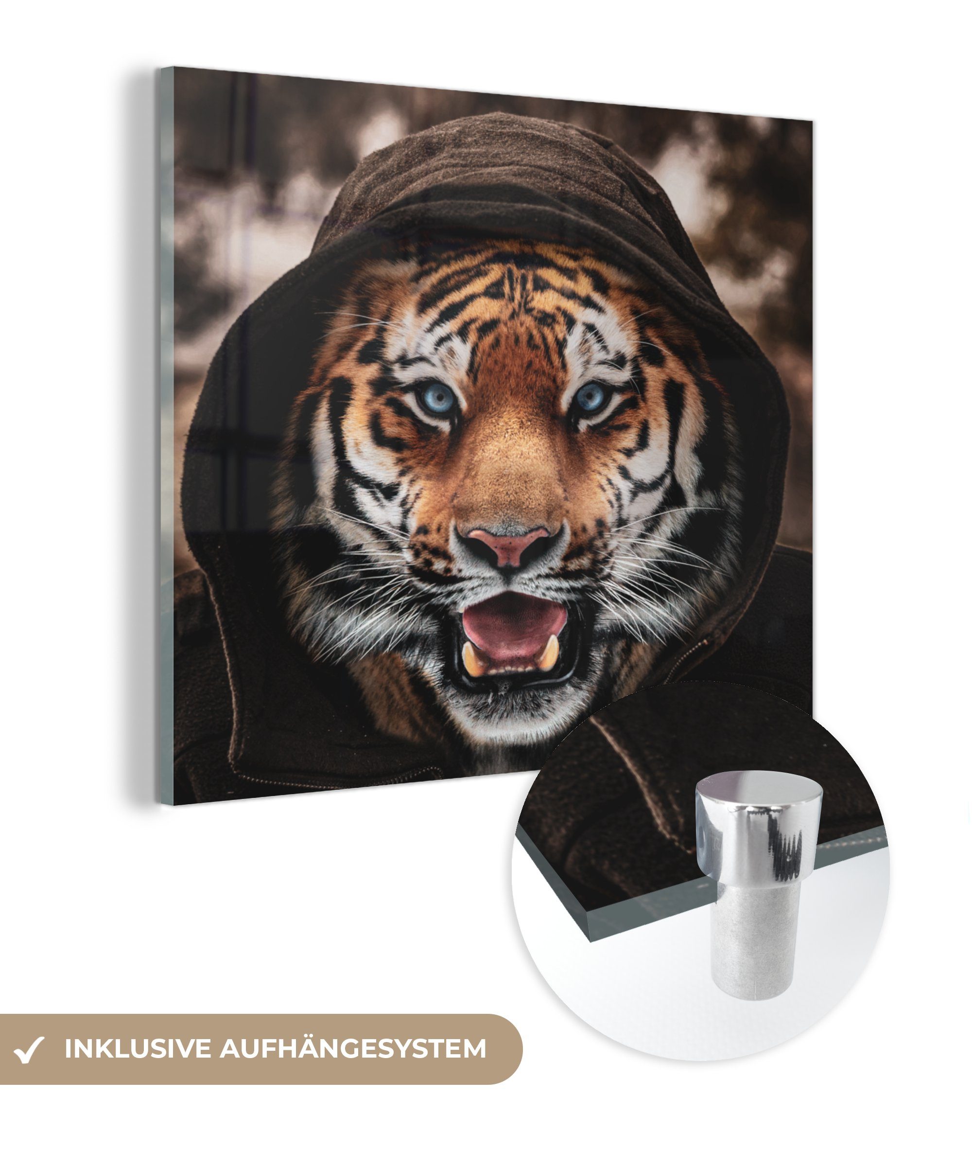 MuchoWow Acrylglasbild Tiger - Kleidung - Blau, (1 St), Glasbilder - Bilder auf Glas Wandbild - Foto auf Glas - Wanddekoration