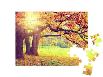 puzzleYOU Puzzle Herbstlandschaft mit alten Bäumen, 48 Puzzleteile, puzzleYOU-Kollektionen Herbst, Himmel & Jahreszeiten