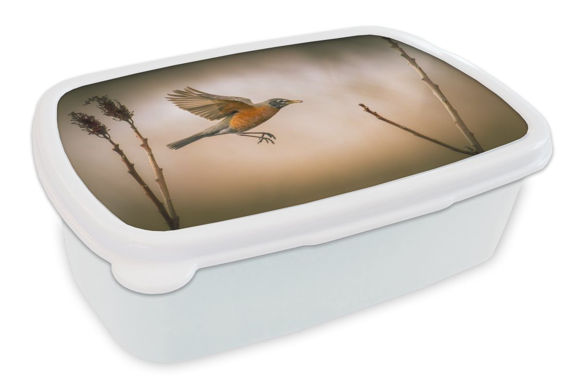 MuchoWow Lunchbox Rotkehlchen - Flügel - Natur, Kunststoff, (2-tlg), Brotbox für Kinder und Erwachsene, Brotdose, für Jungs und Mädchen weiß