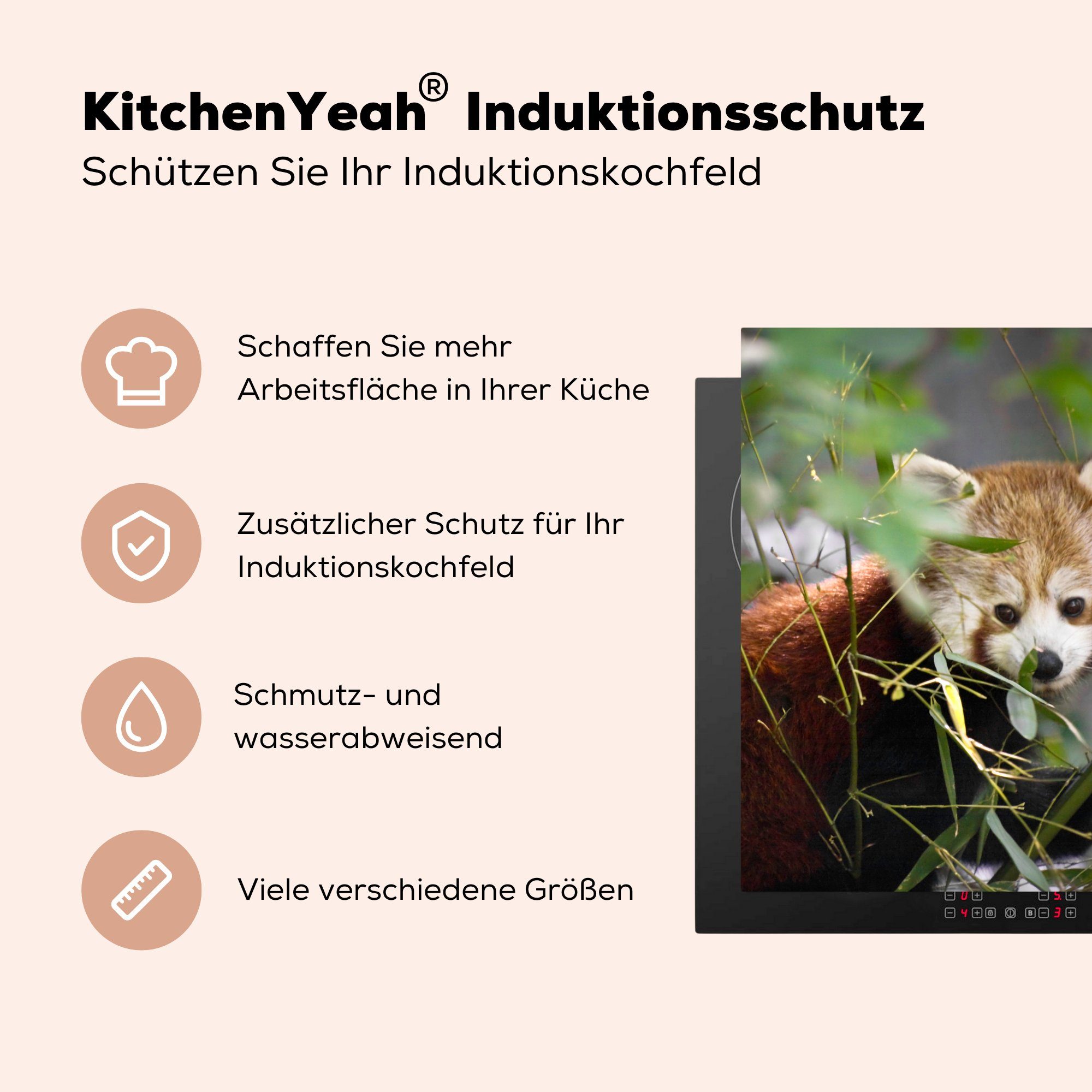 MuchoWow Herdblende-/Abdeckplatte Roter Panda küche - Zweige tlg), Ceranfeldabdeckung, cm, für Arbeitsplatte - Vinyl, 78x78 (1 Grün