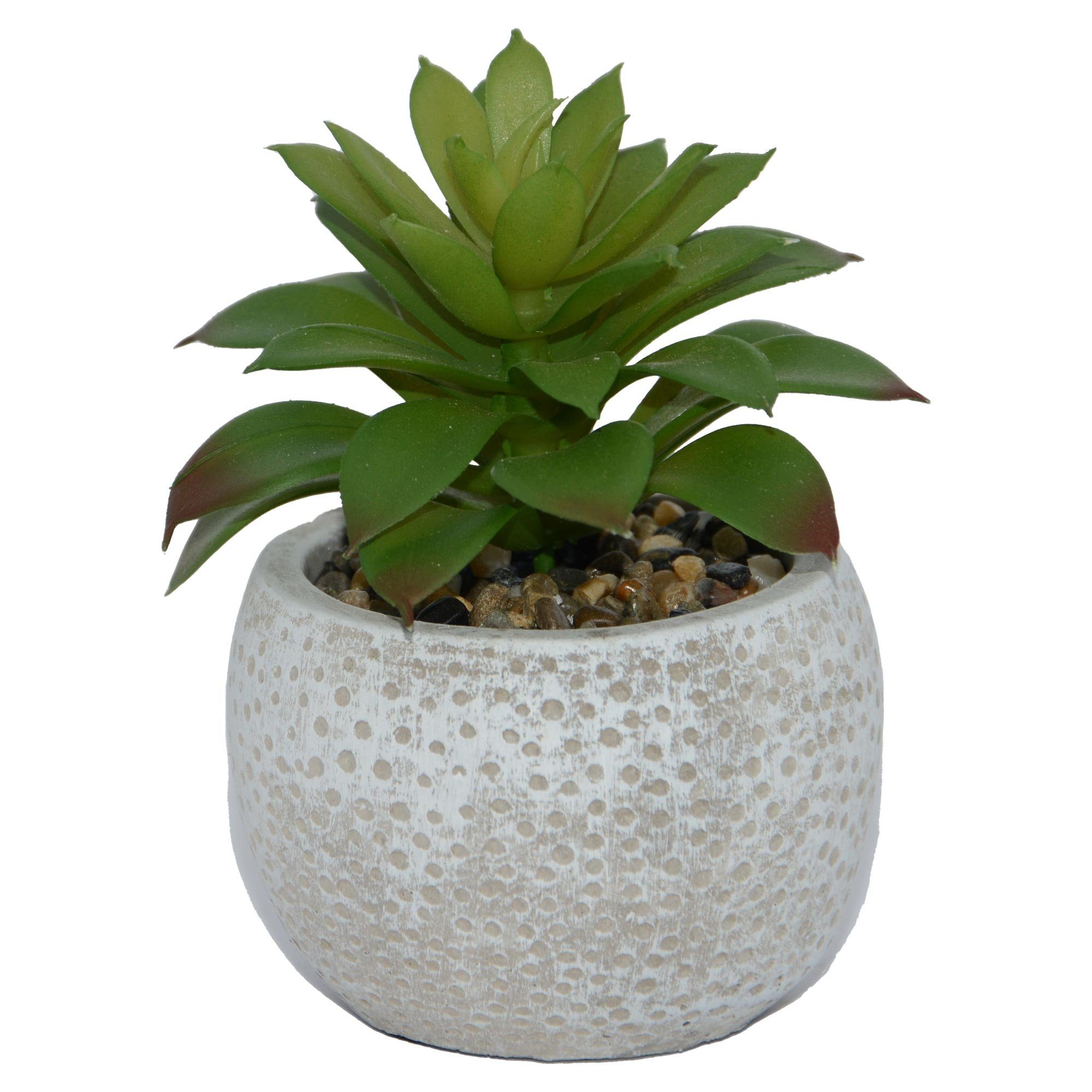 Kunstpflanze 3er Set Betontöpfe mit künstlichen Pflanzen, UNUS HOME günstig online kaufen