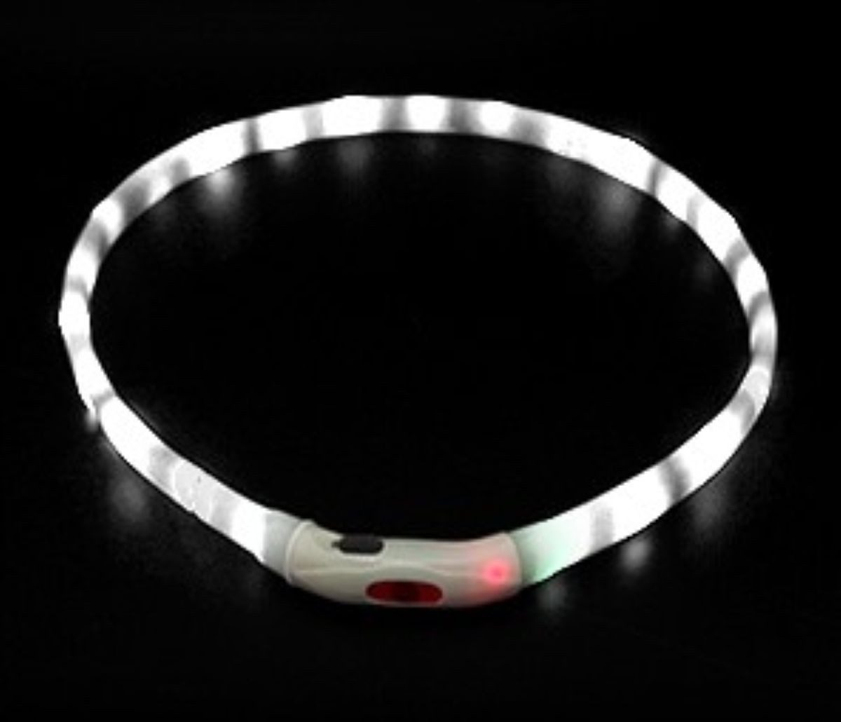 Illes-Laedchen Hunde-Halsband Hunde-Halsband LED Leuchtring Leuchthalsband große Farbauswahl, wiederaufladbar mit mitgeliefertem Kabel Typ C