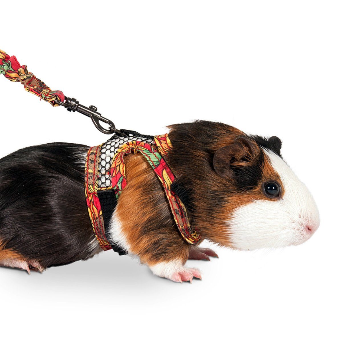 Karlie Geschirr Art Joy Geschirr für Meerschweinchen und Frettchen günstig online kaufen