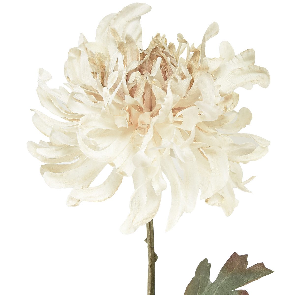Kunstblume Chrysanthemen Kunstblumen Creme 72cm 2er Set Dekoration, 2 Stück, Florists Products, Höhe 7 cm