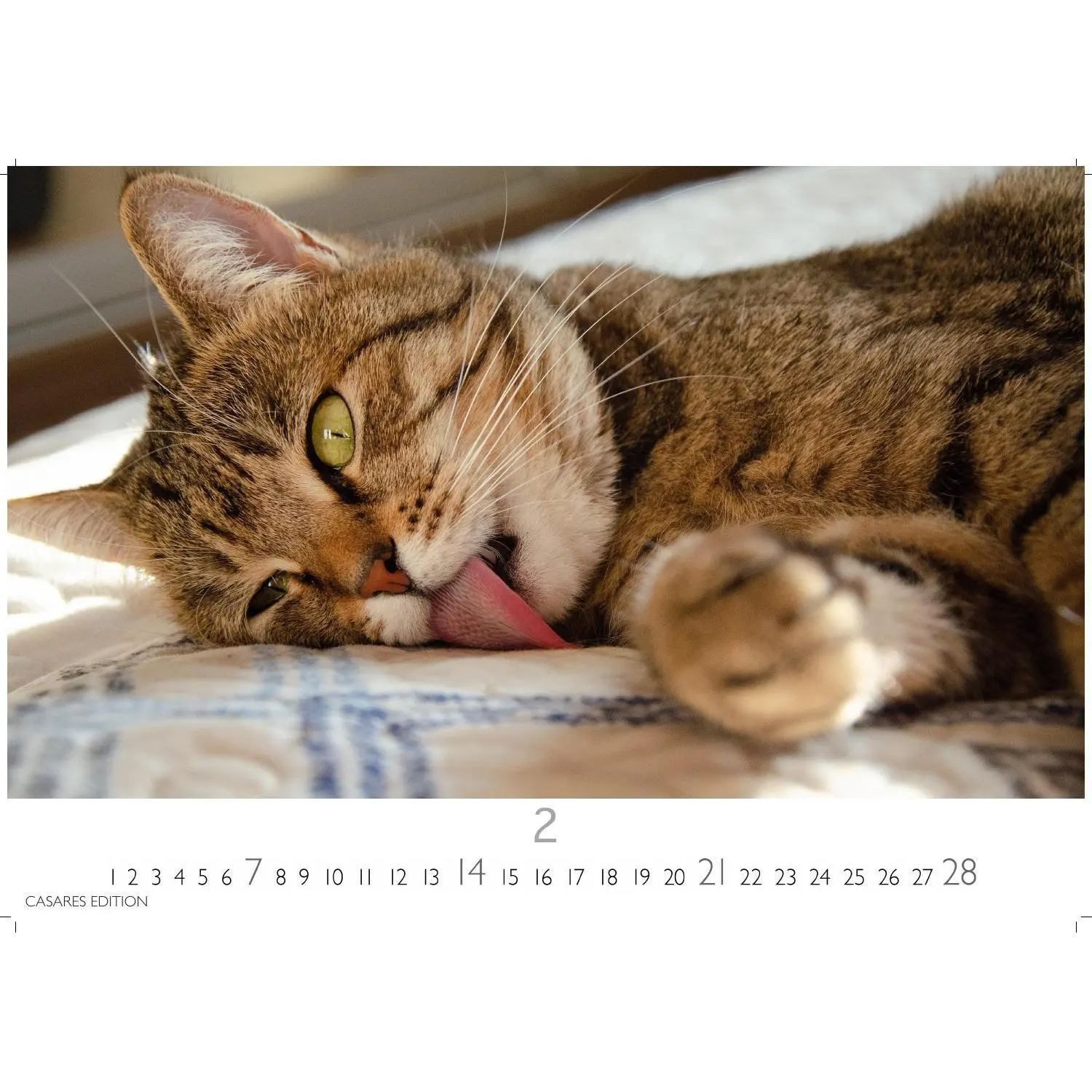 Wandkalender Funny Cats Kalender 2027 - Wandkalender, Fotokalender Tierkalender...