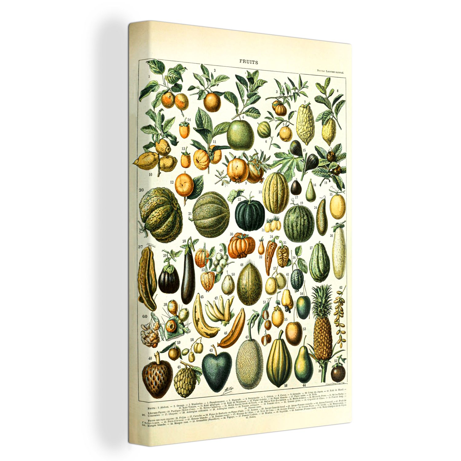 OneMillionCanvasses® Leinwandbild Obst - Lebensmittel - Design - Vintage - Adolphe Millot, (1 St), Leinwandbild fertig bespannt inkl. Zackenaufhänger, Gemälde, 20x30 cm