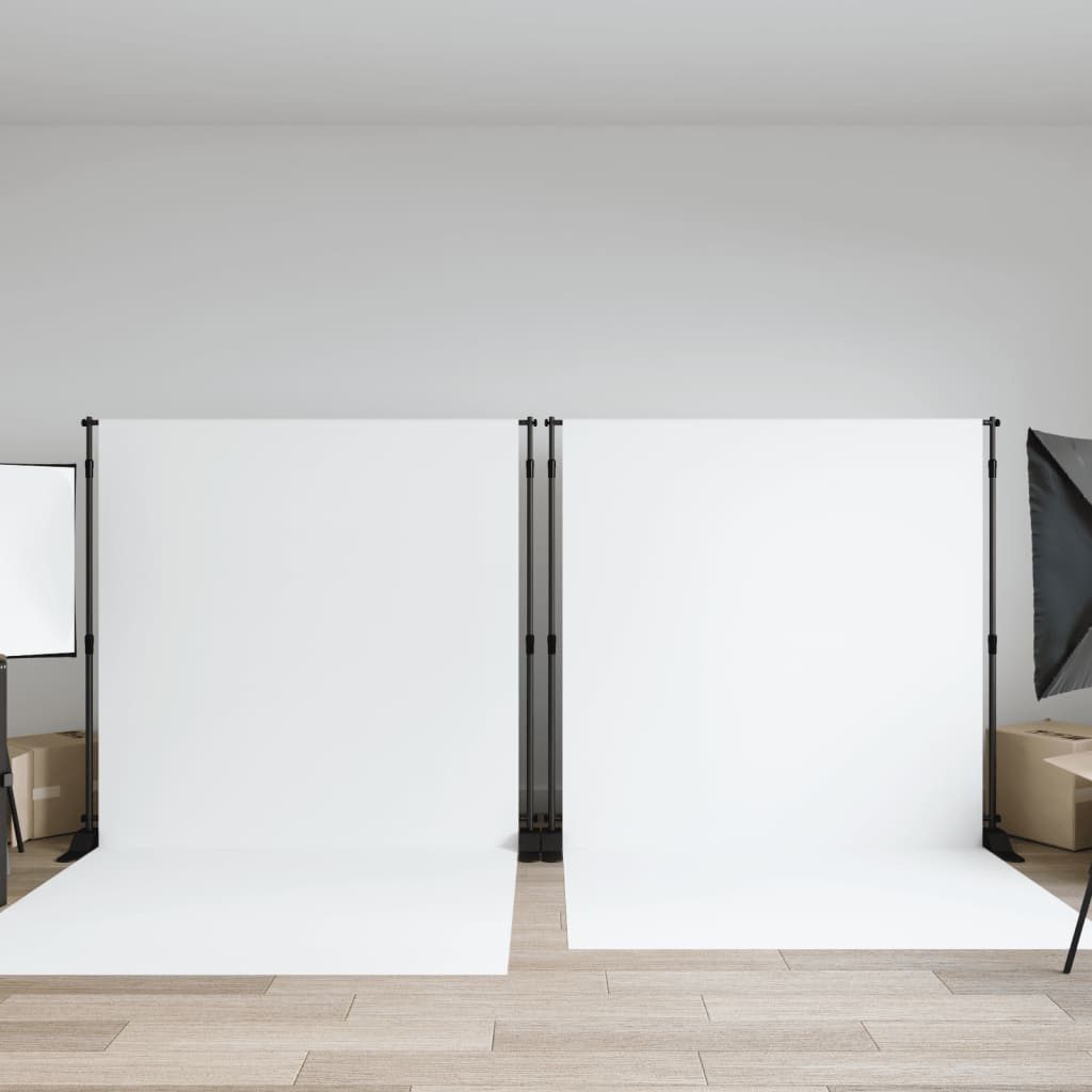 vidaXL Fotohintergrund Hintergrundstative 2 Stk Schwarz 254x243 cm Stahl