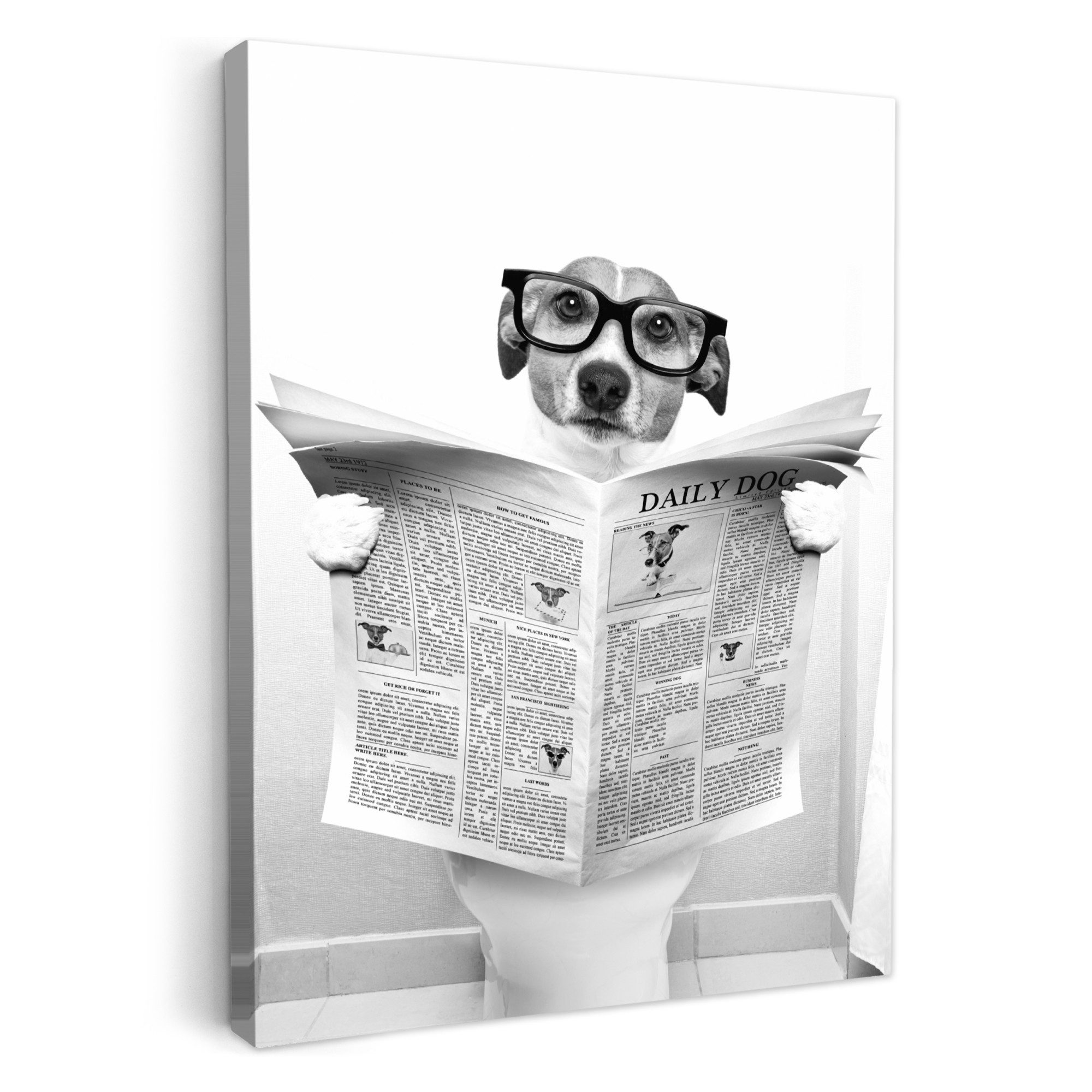 OneMillionCanvasses® Leinwandbild Hund - Zeitung - Toilette - Schwarz und weiß - Tiere, Fotodruck (1 St), Badezimmer Deko, Изображения Bad, Gäste WC Wanddeko 30x40 cm