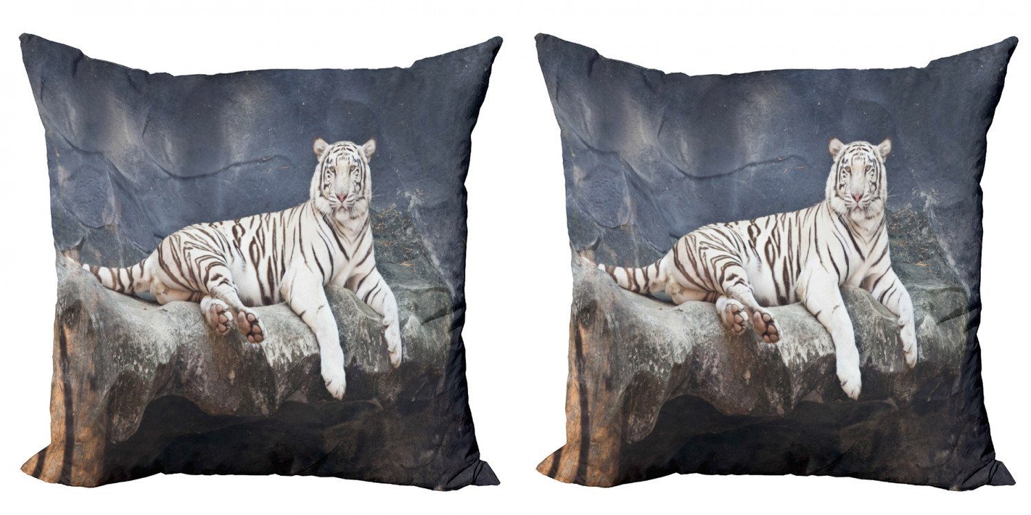 Kissenbezüge auf Felsen Digitaldruck, Tiger Stück), Abakuhaus Modern dem Doppelseitiger Accent Wildlife (2 Katze