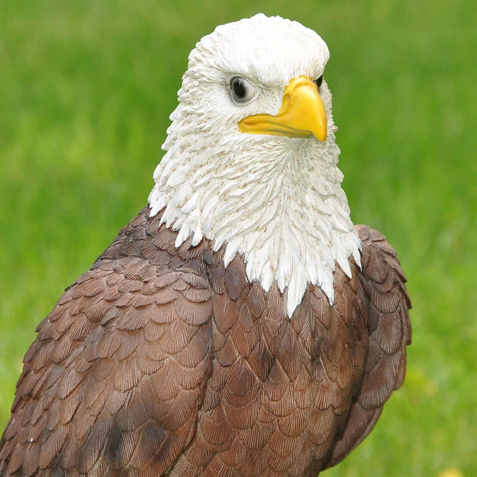dazikemo Gartenfigur Dekofigur Gartenfigur Weißkopfseeadler – Bild 3 von 5