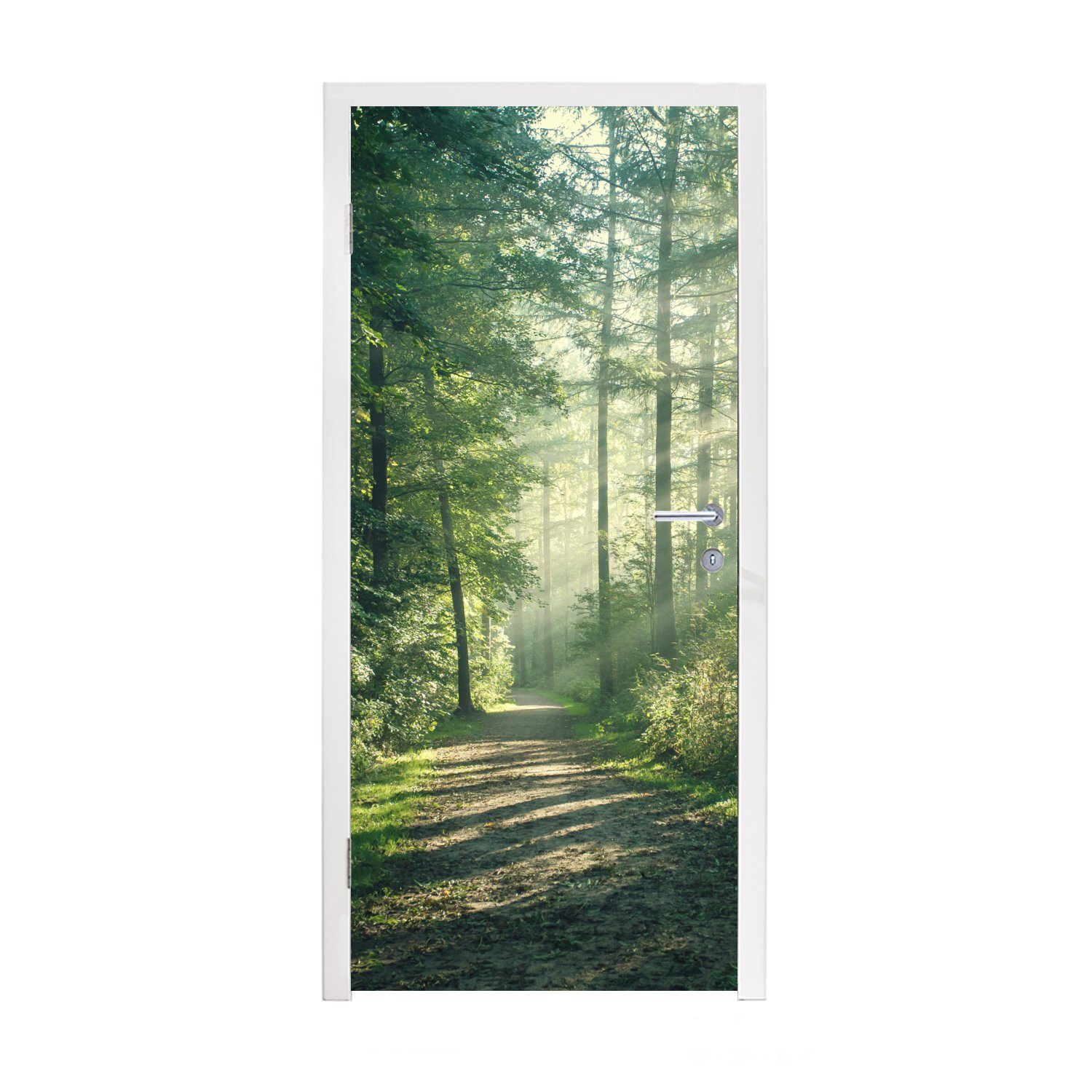 - Wald - Fototapete Grün 75x205 Natur, für (1 cm Matt, Bäume Weg MuchoWow - Türaufkleber, Türtapete St), - Sonne - Tür, bedruckt,