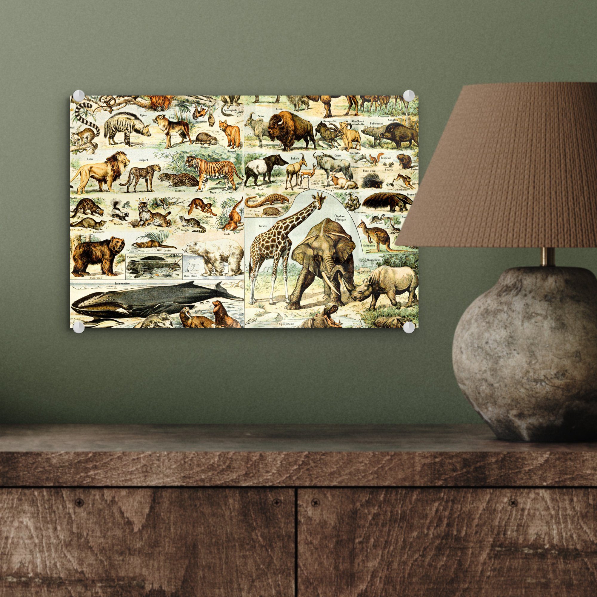 - Acrylglasbild Tiere - (1 auf Bilder Löwe, Glasbilder auf Glas - Wandbild - Wanddekoration - Glas Foto St), MuchoWow Giraffe