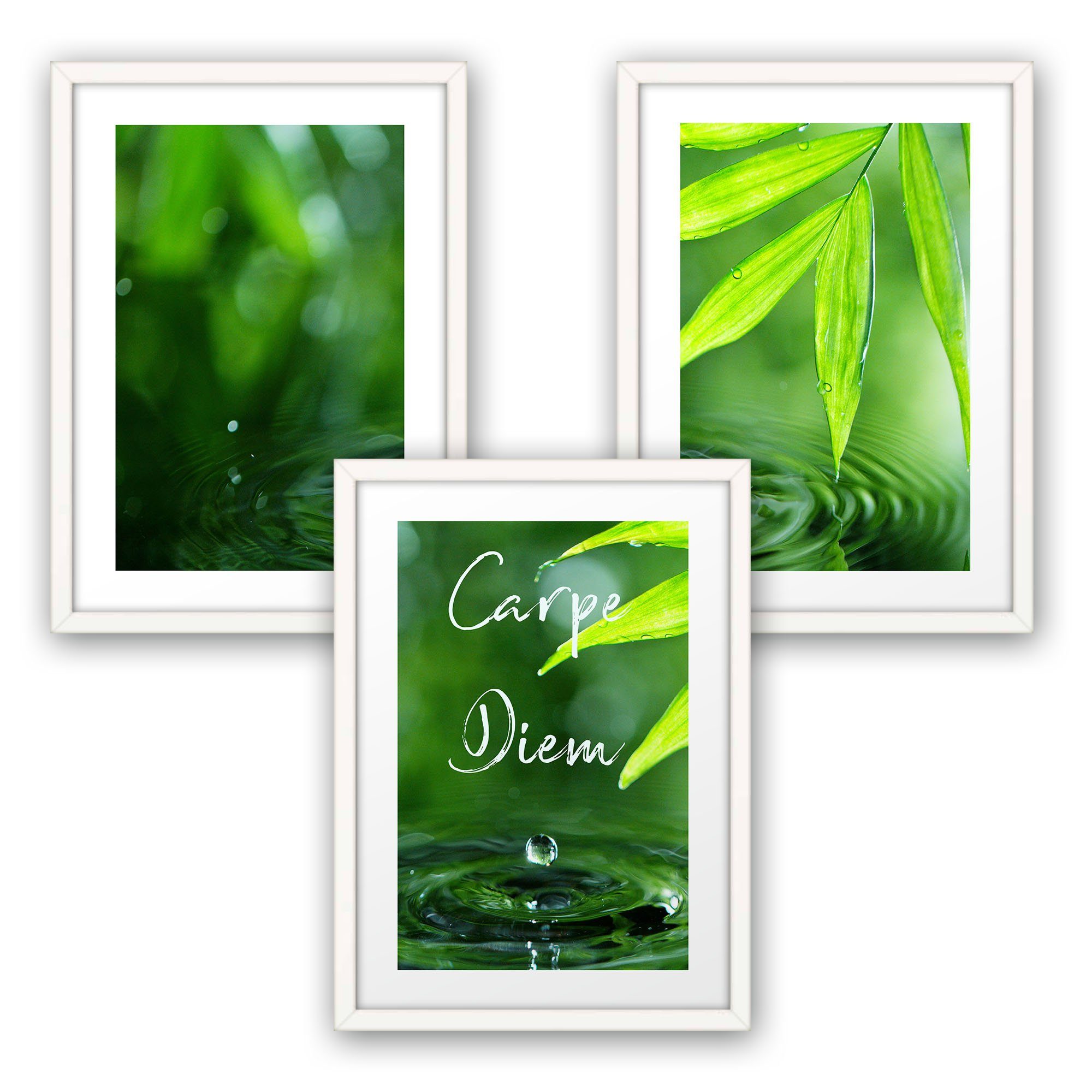 Poster, Natur, Wasser, Pflanzen, Blätter, grün (Set, 3 St), 3-teiliges Poster-Set, Kunstdruck, Wandbild, optional mit Rahmen, wahlw. in DIN A4 / A3, 3-WP006