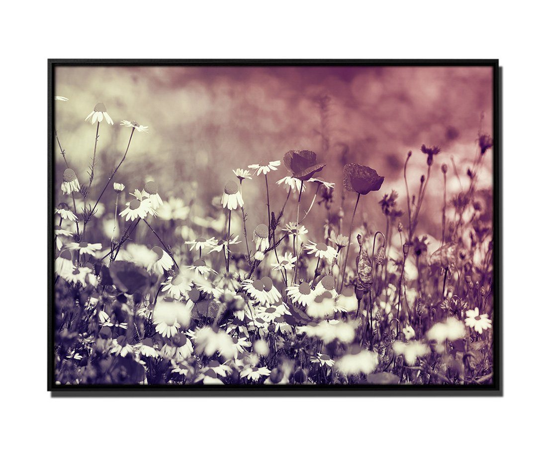 Sinus Art Leinwandbild 105x75cm Leinwandbild Petrol Wildblumenwiese im Frühling