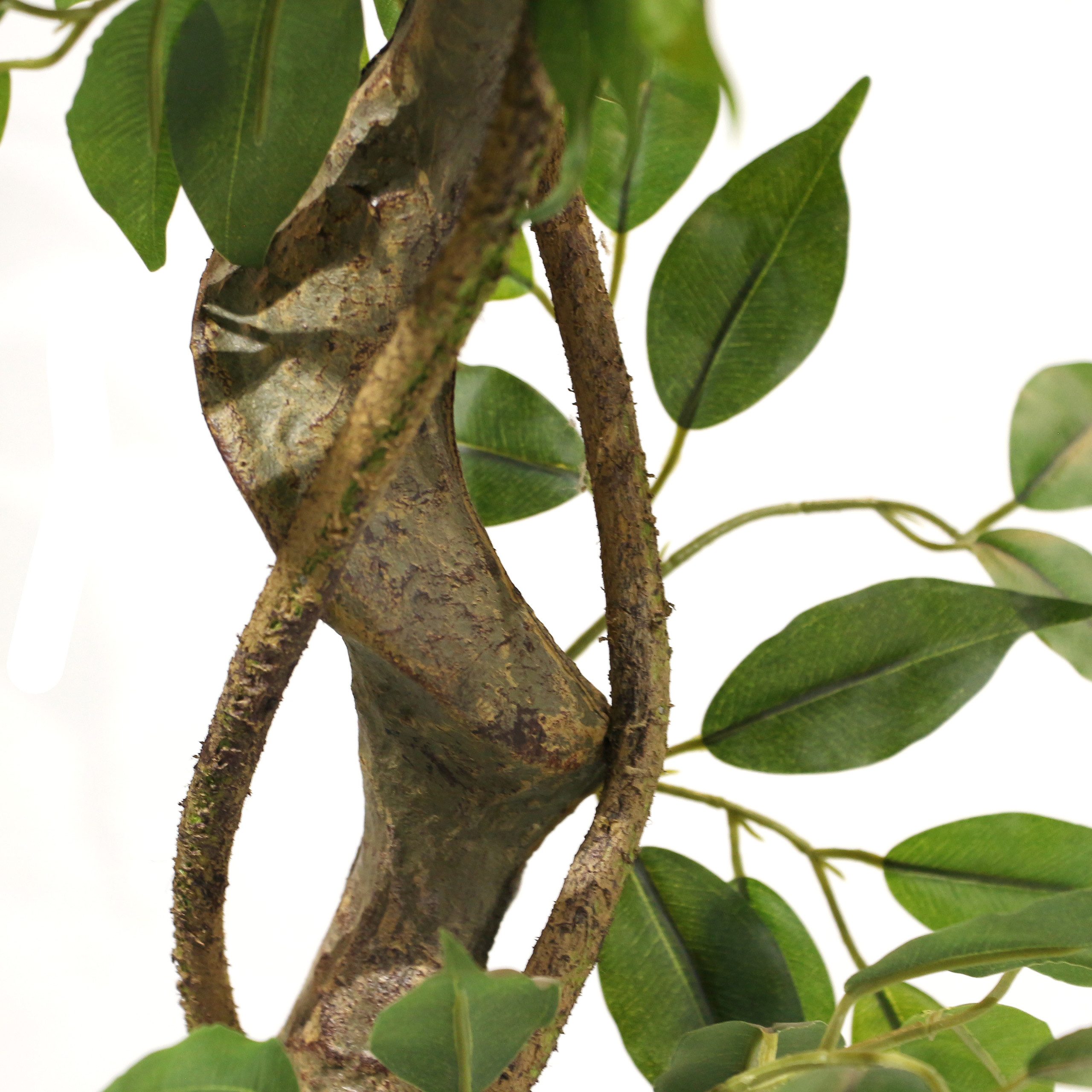 Kunstpflanze FICUS I Künstliche Pflanze Höhe 120.0 cm Birke Birke, hjh OFFICE, Höhe 120.0 cm, Künstliche Zimmerpflanze Benjamini im Kunststoff-Topf, Kunstbaum