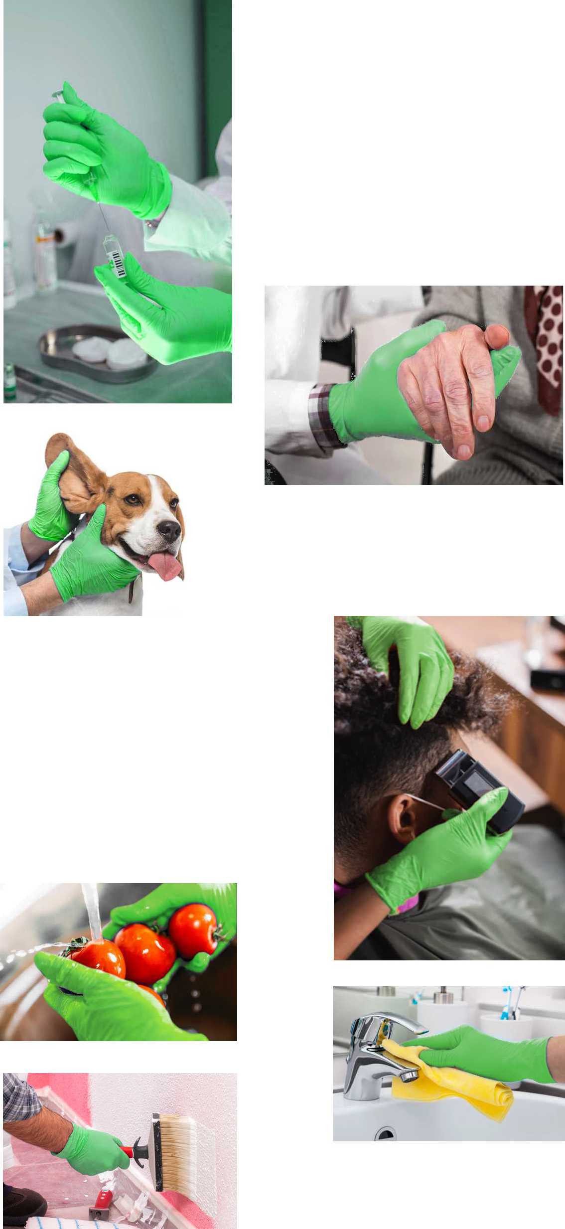 SFM ® Nitril-Handschuhe GREENLETS : puderfrei F-tex grün Einweghandschuhe Einmalhandschuhe