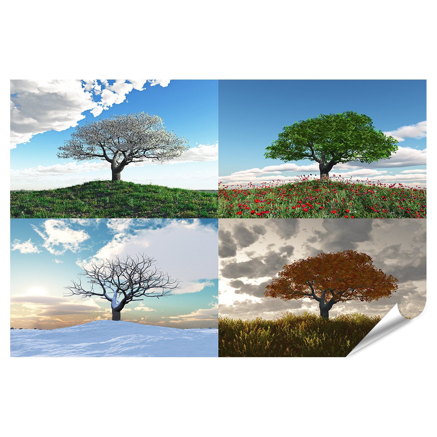islandburner Poster Einsamer Baum im Vier Jahreszeiten Zeitraffer Bilder