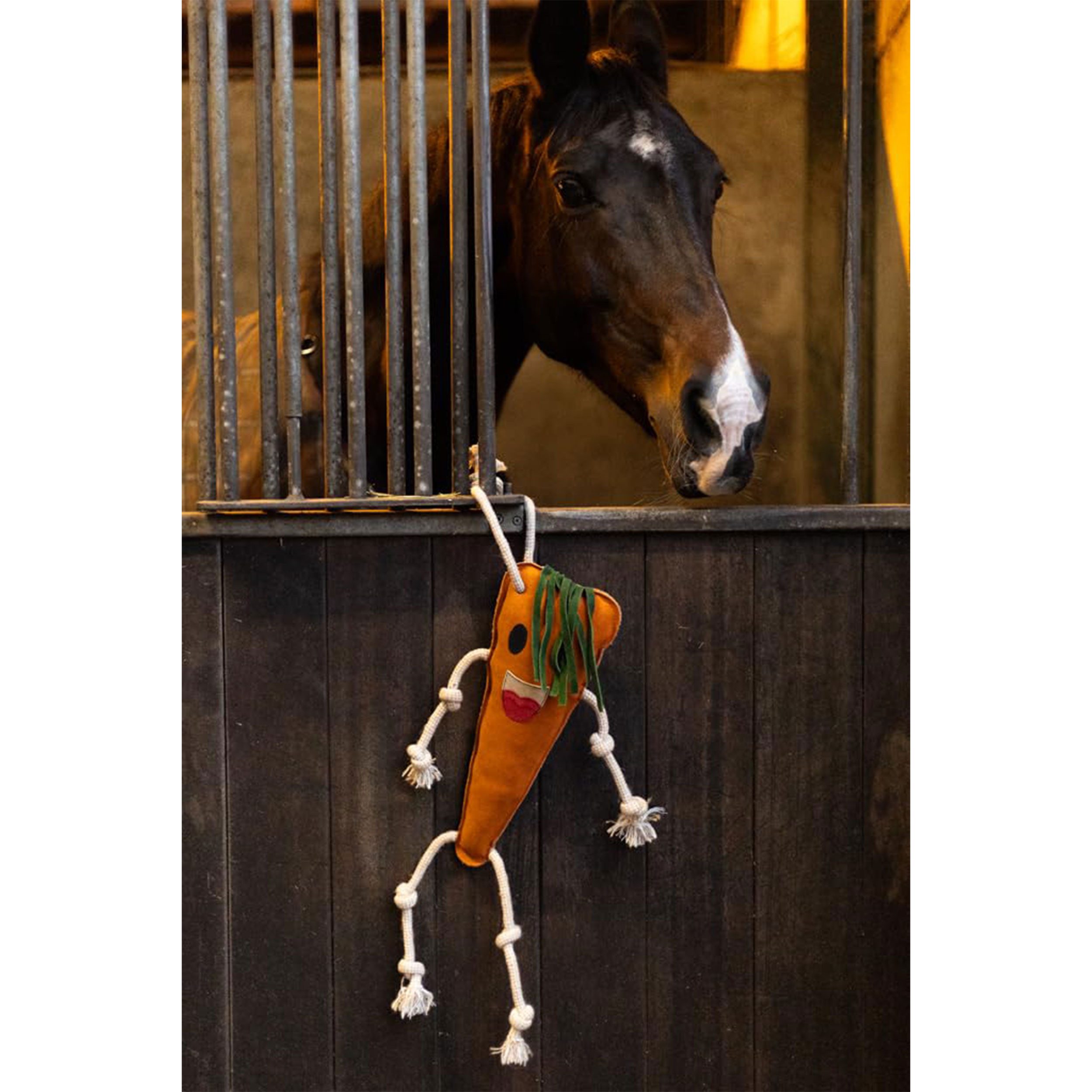 Hofman animal care Tier-Beschäftigungsspielzeug Pferdespielzeug "Carrot" Foodie Friends