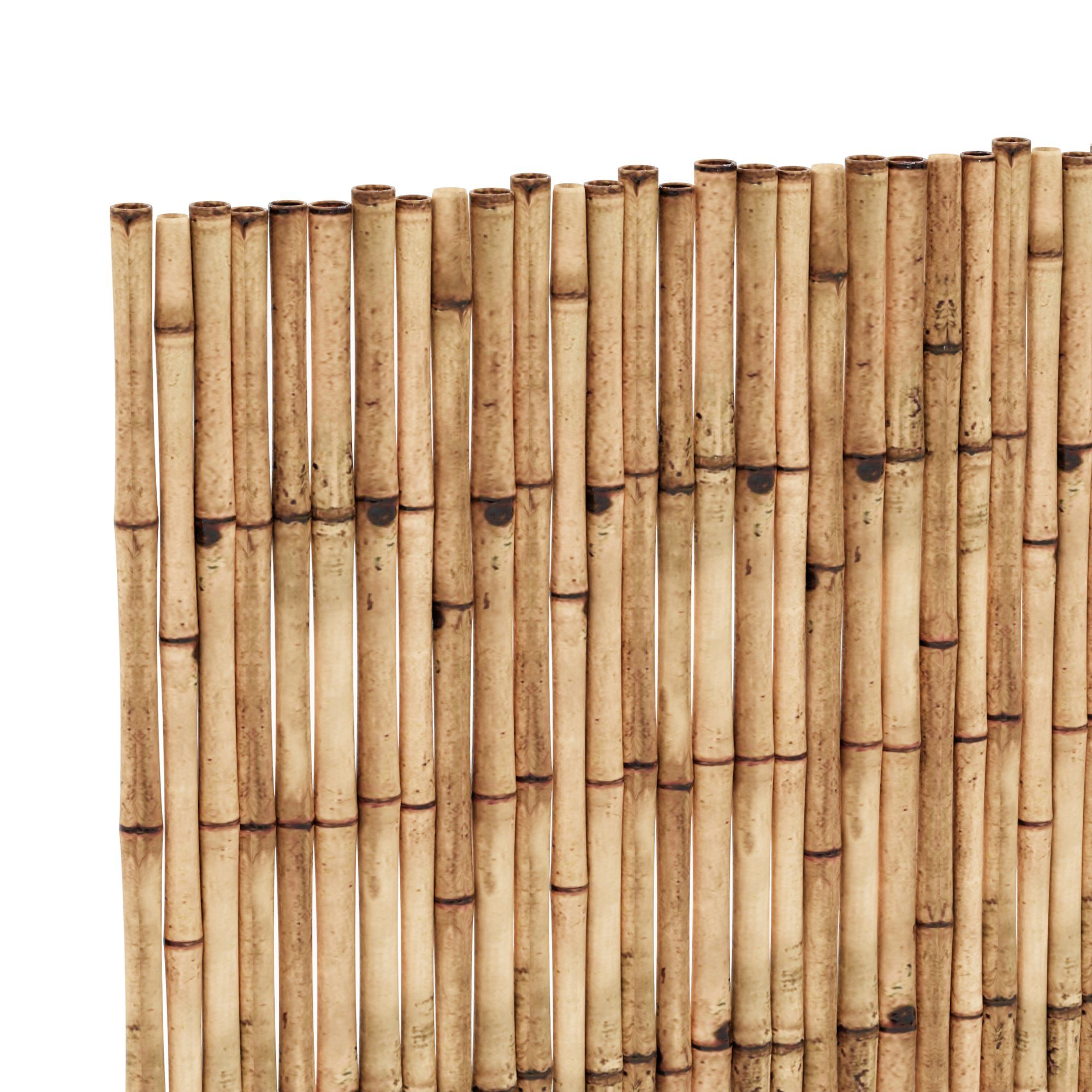 casa.pro Sichtschutzzaunmatten, »Allzio« Schilfrohrmatte 300 x 100 cm