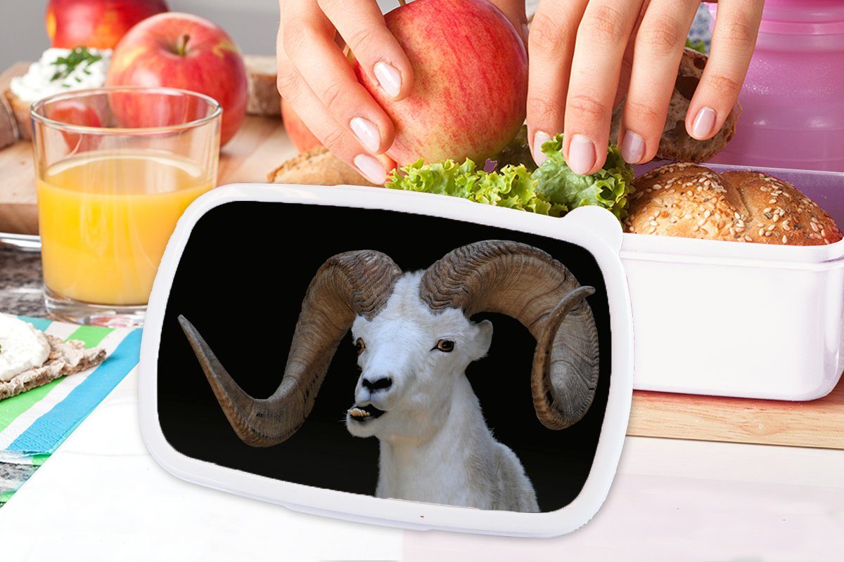 Hoorn, für - Mädchen Kinder und Brotbox Erwachsene, weiß Bok Jungs Lunchbox Kunststoff, (2-tlg), - MuchoWow Brotdose, Tiere und für
