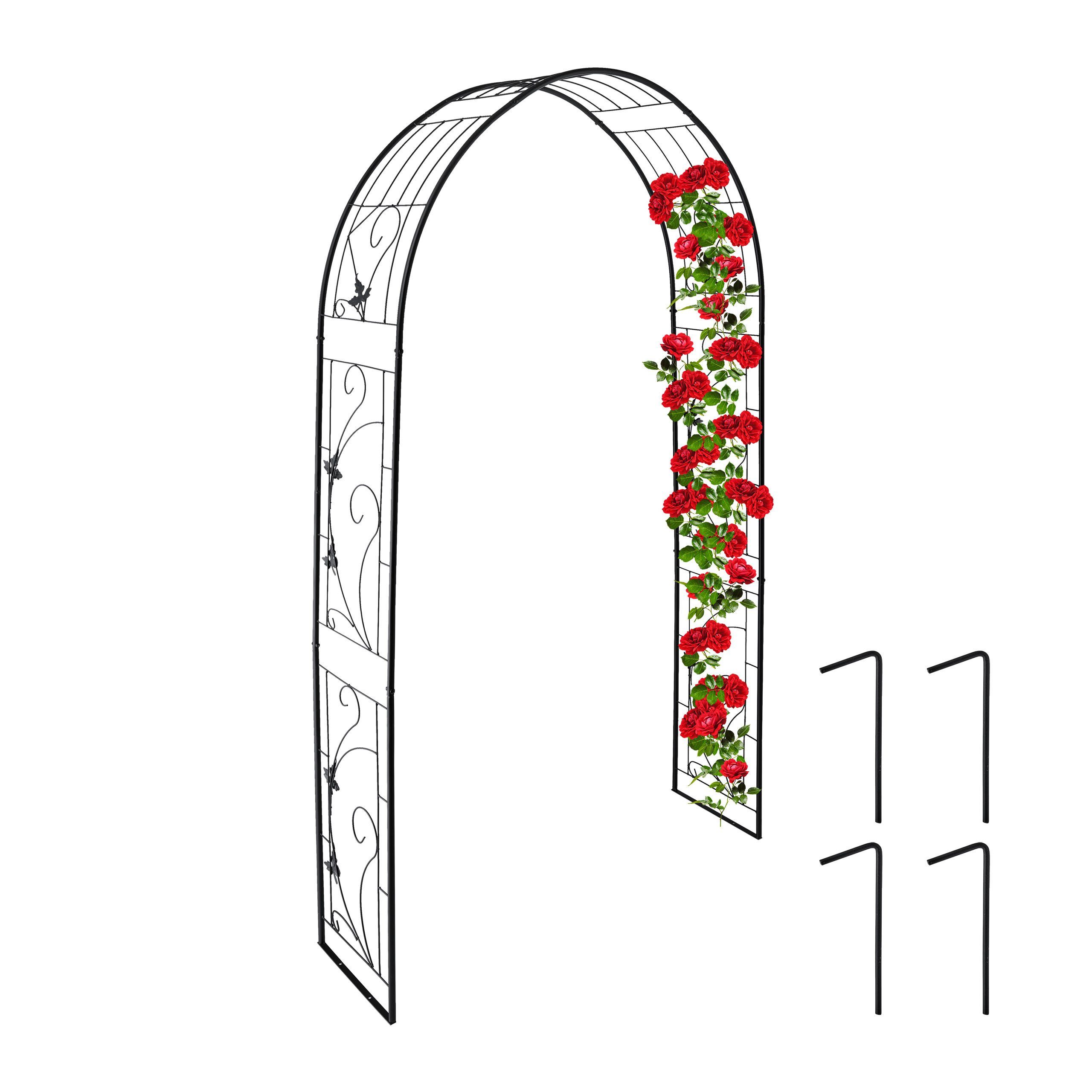 Rosenbogen aus Eise