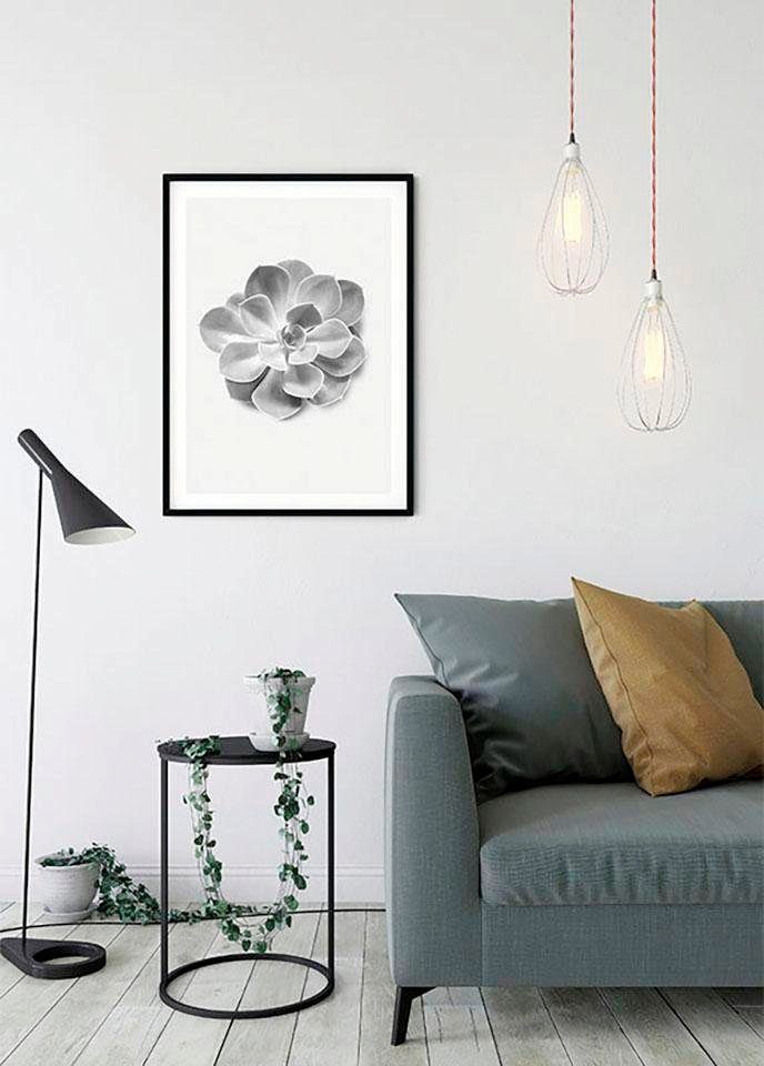 Succulent Kinderzimmer, Wohnzimmer Komar Schlafzimmer, Blätter, Poster Aeonium, Pflanzen (1 St),