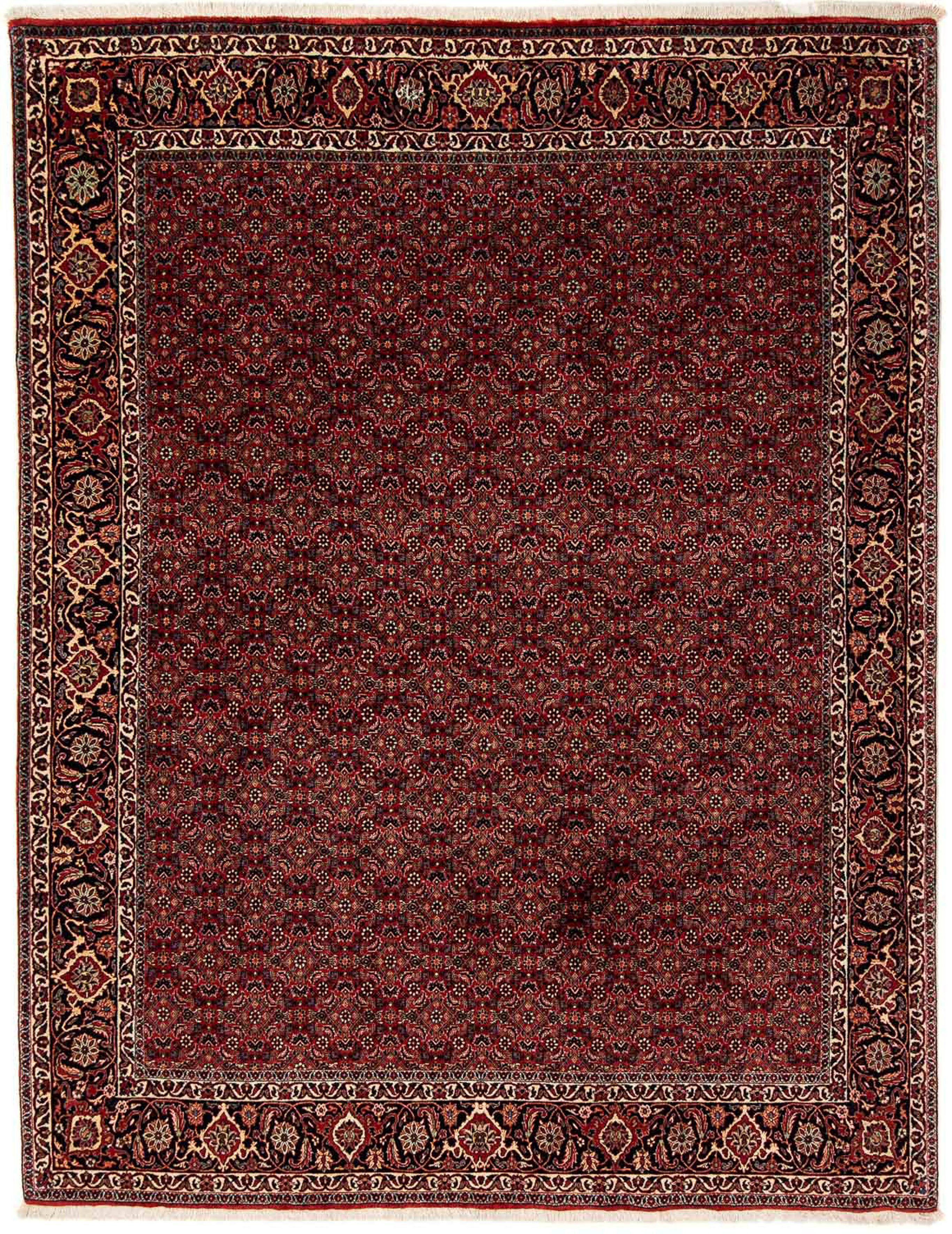 Orientteppich Perser - Bidjar mm, Zertifikat Einzelstück - rechteckig, cm 200 x Höhe: 246 morgenland, mit - dunkelrot, Handgeknüpft, Wohnzimmer, 15