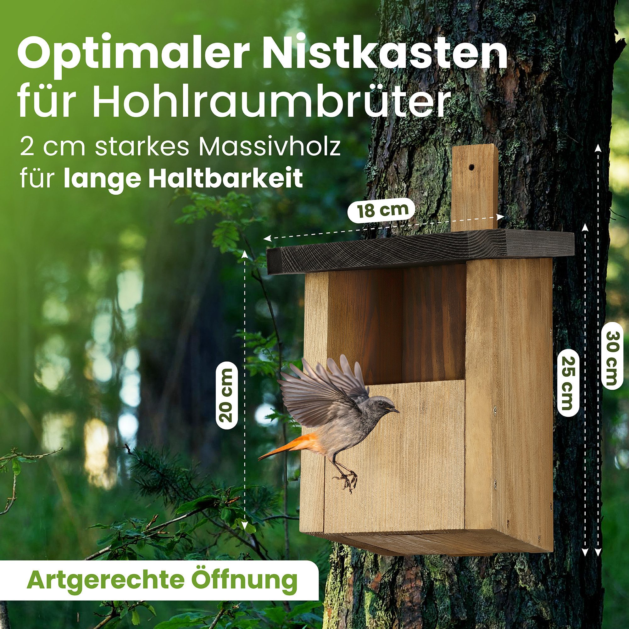 Waldfunk Nistkasten Halbhöhle für Rotkehlchen & Co., Wetterfest & Massives Holz, 30 x 20 x 16 cm