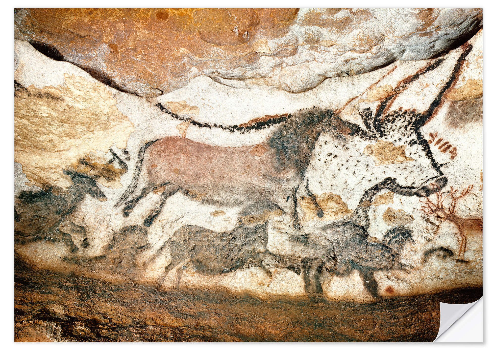 Posterlounge Wandfolie ARTOTHEK, Höhle von Lascaux, Auerochse und Pferde, Illustration
