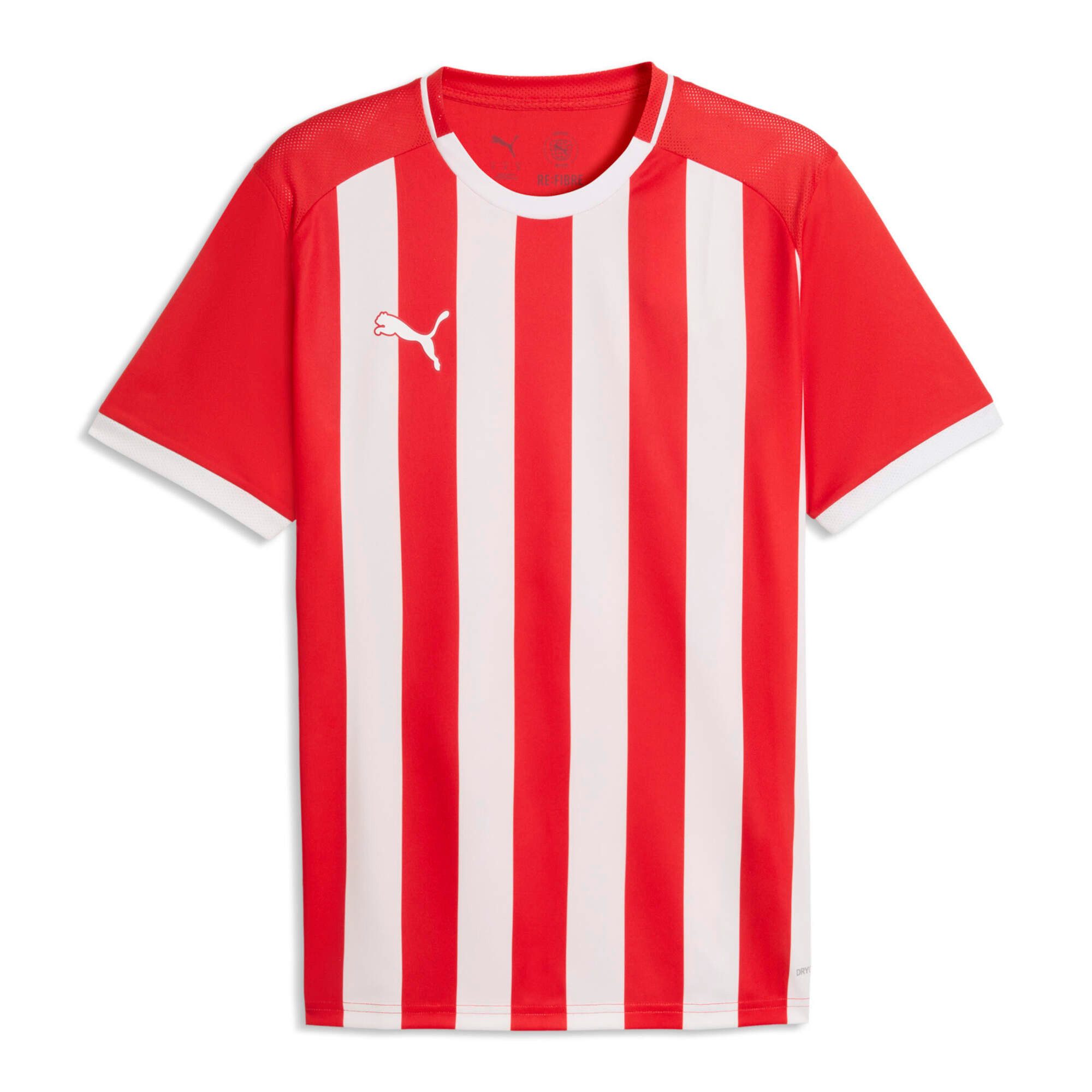 Fußballtrikot Puma Herren Trikot teamLIGA26 Striped Jersey 706550