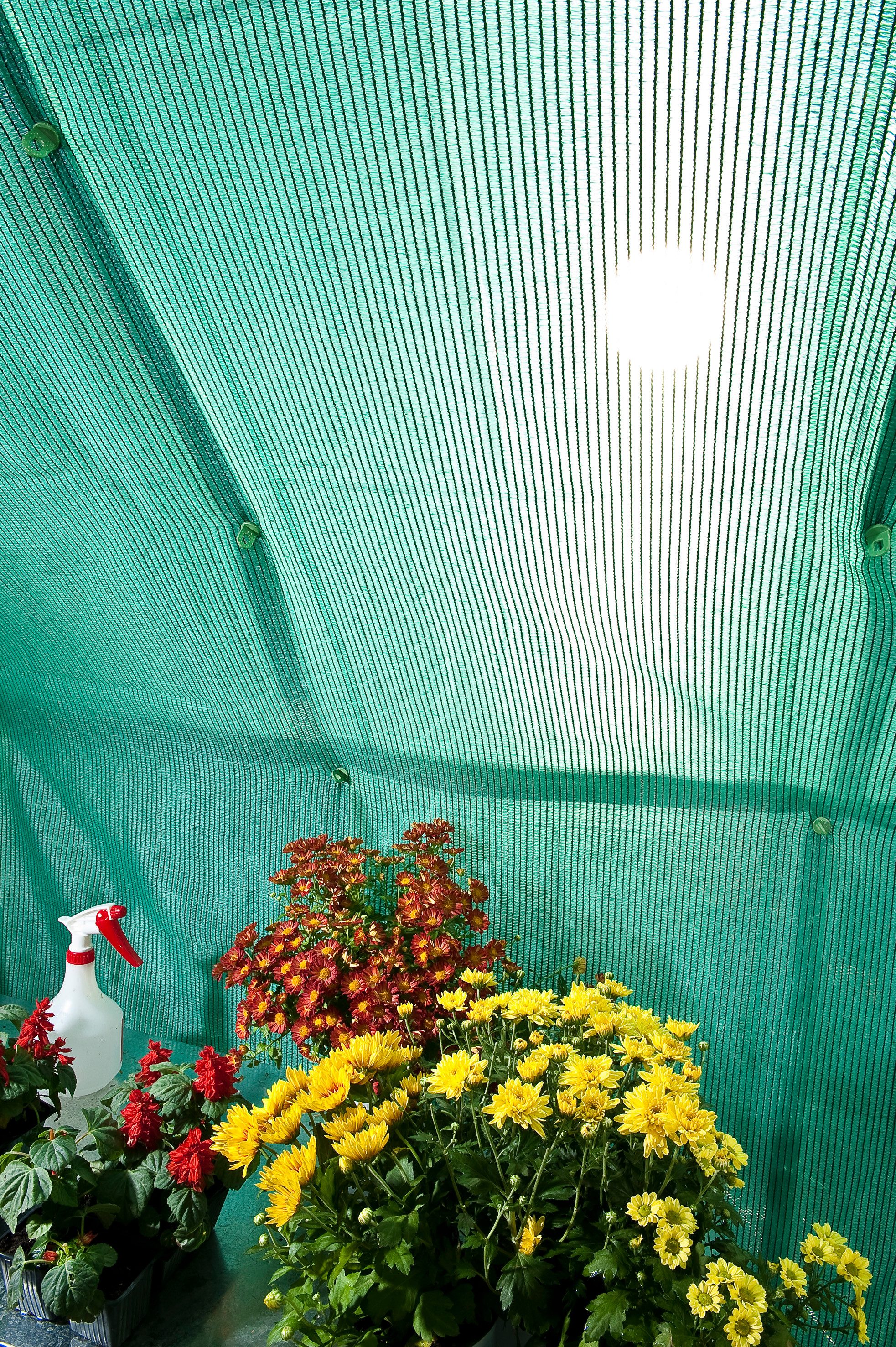Palram - Canopia Sonnensegel Schattierungs - Kit, Schutz vor Sonne