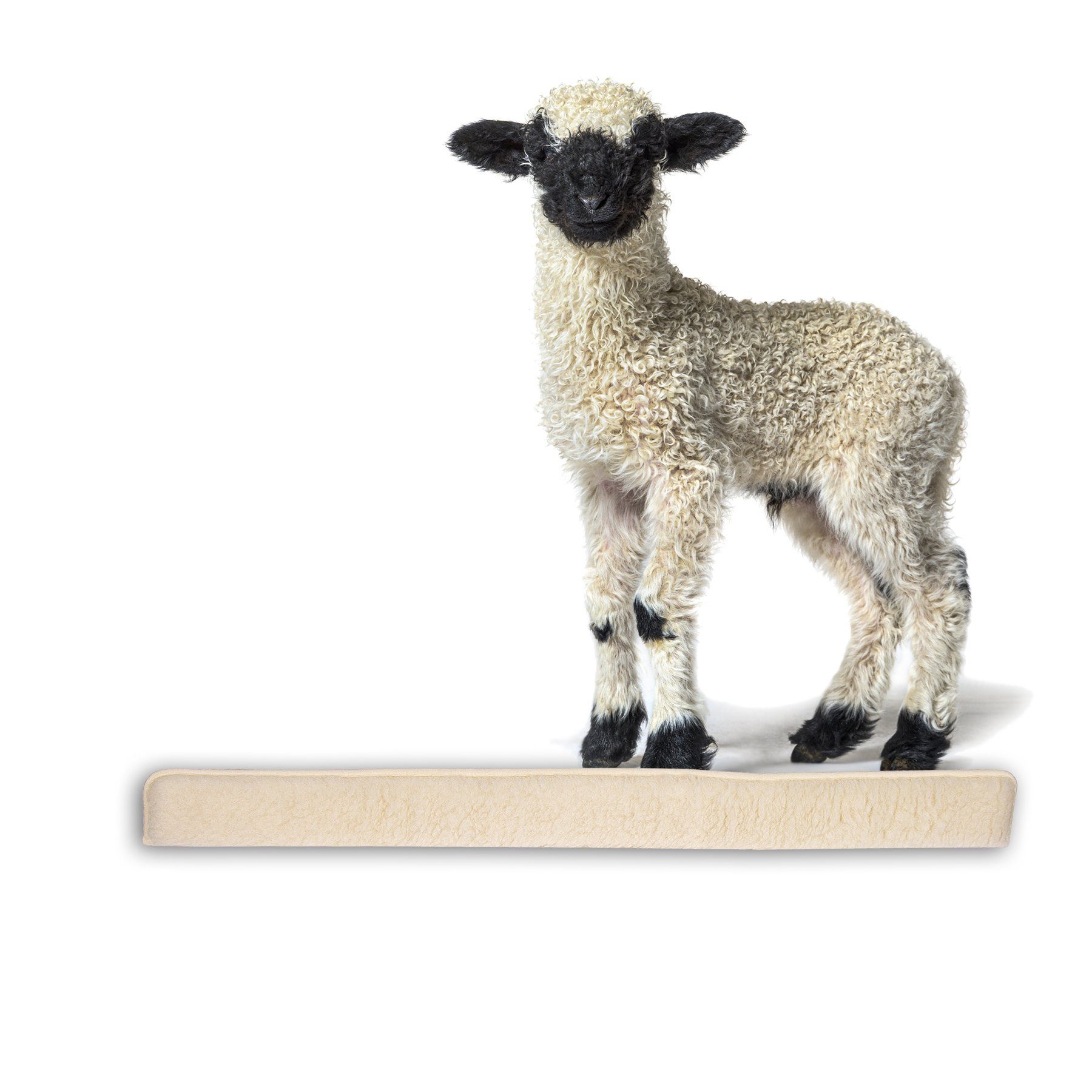 BigDean Ограничитель сквозняков 100cm für Fenster Schurwolle Natur Beige, Packung, 1-tlg., Ограничитель сквозняков, Ограничитель сквозняков, Pflegeleicht, Für Fenster, Türen