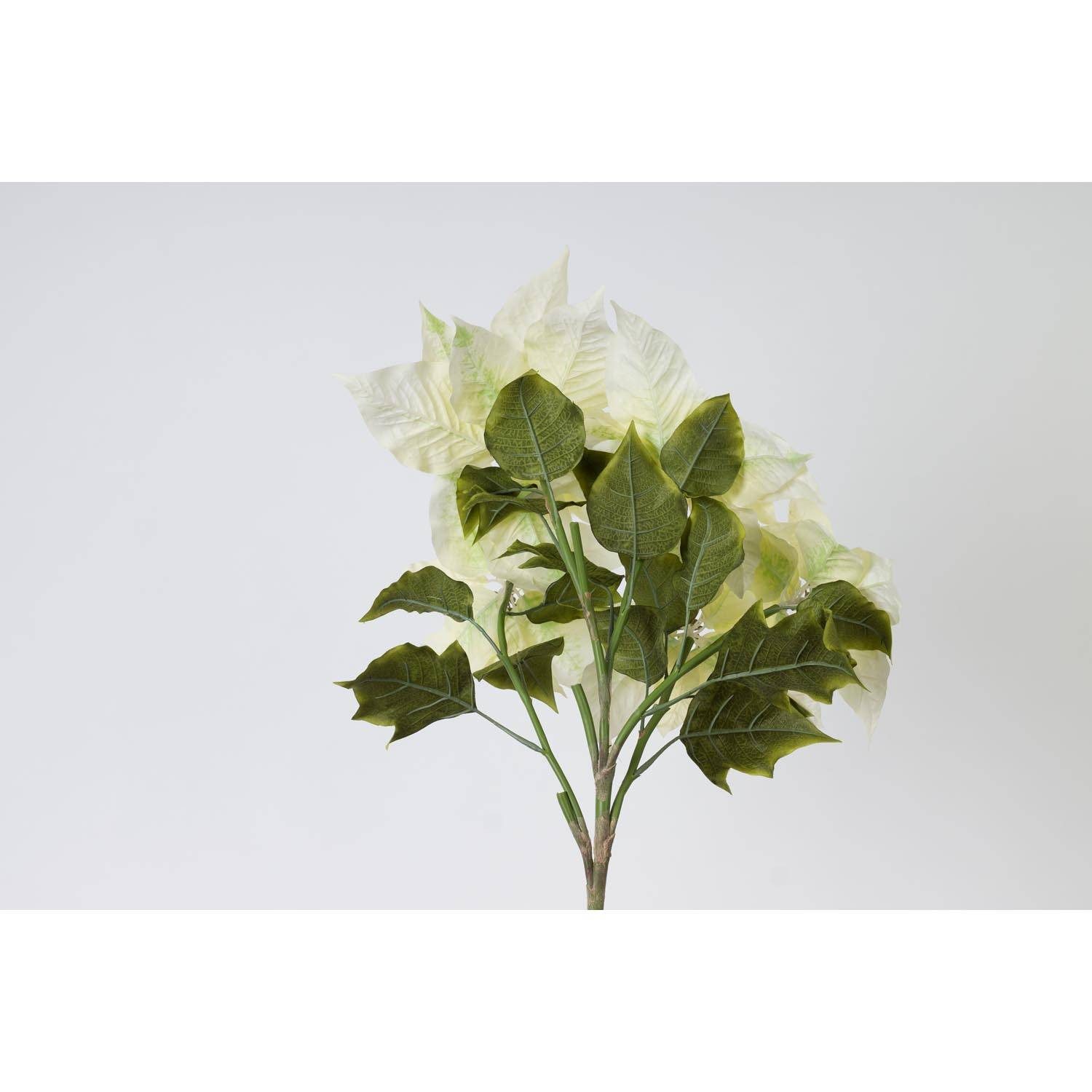 Kunstblume Deko Weihnachtsstern Busch, 5 Blüten, cremefarben, 60cm Weihnachtsstern, artplants, Höhe 60.0 cm