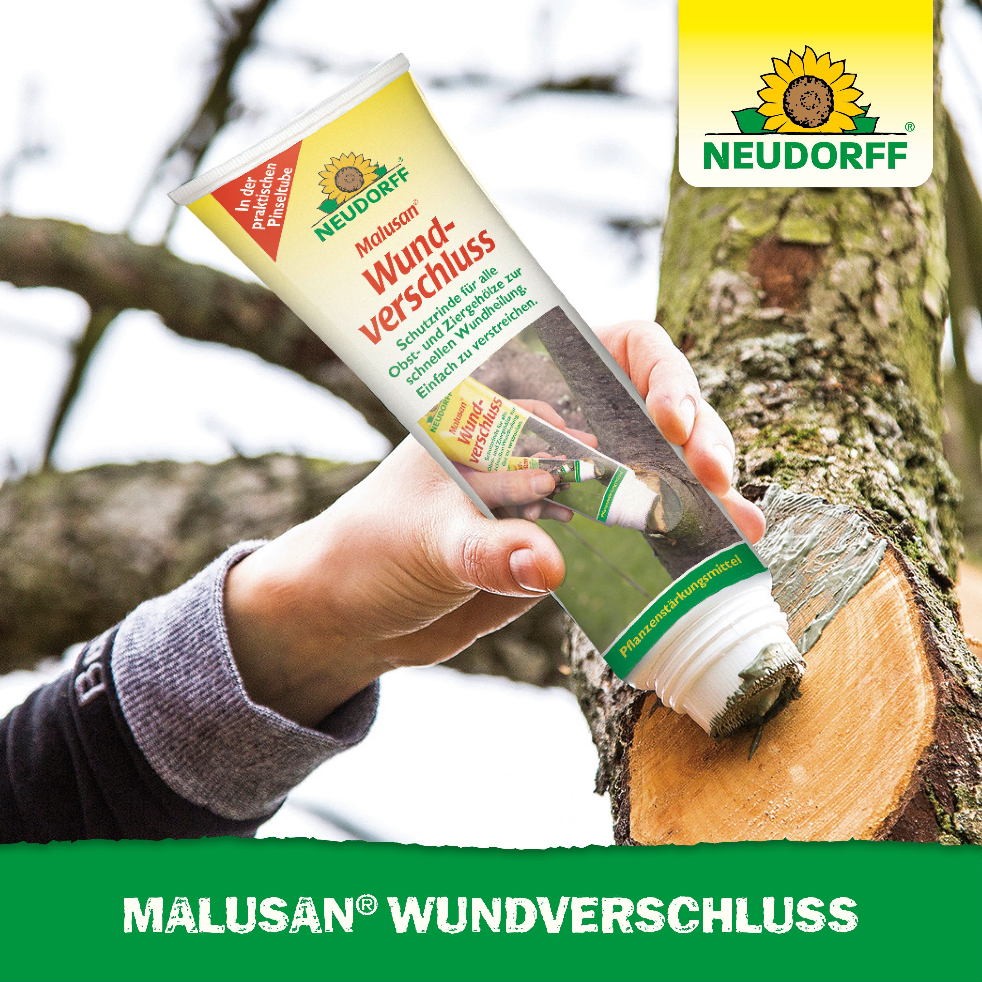 Neudorff Baum-Wundverschluss Malusan Wundverschluss Pinseltube 275 ml, 275 ml, 1 St., Fördert die Wundheilung bei Schnitt- und Rindenwunden, 275 ml Wundverschlu – Bild 5 von 5