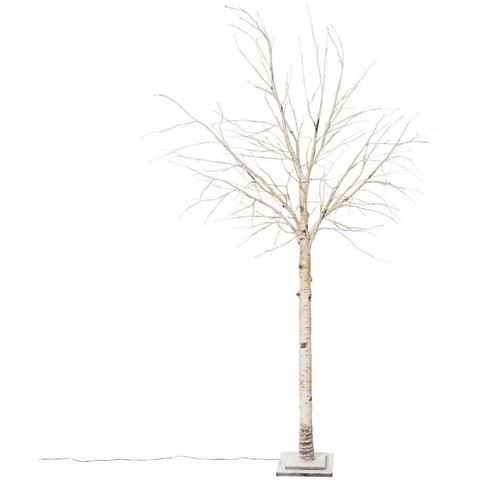 Schneider LED Baum Crema, LED fest integriert, Warmweiß, LED-Birke, Höhe 200 cm, Weihnachtsdeko