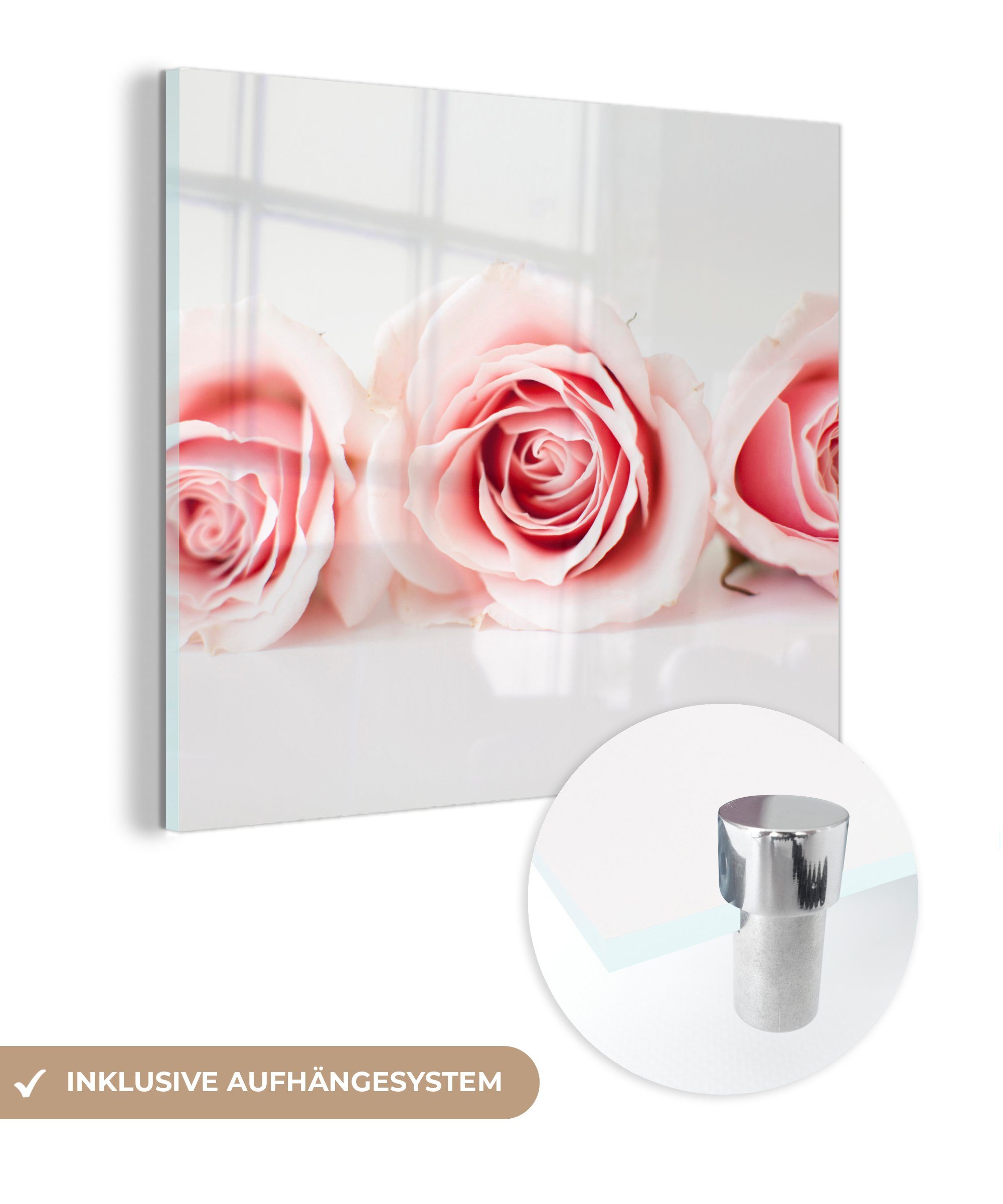 MuchoWow Acrylglasbild Studioaufnahme von drei rosa Rosen nebeneinander, (1 St), Glasbilder - Bilder auf Glas Wandbild - Foto auf Glas - Wanddekoration