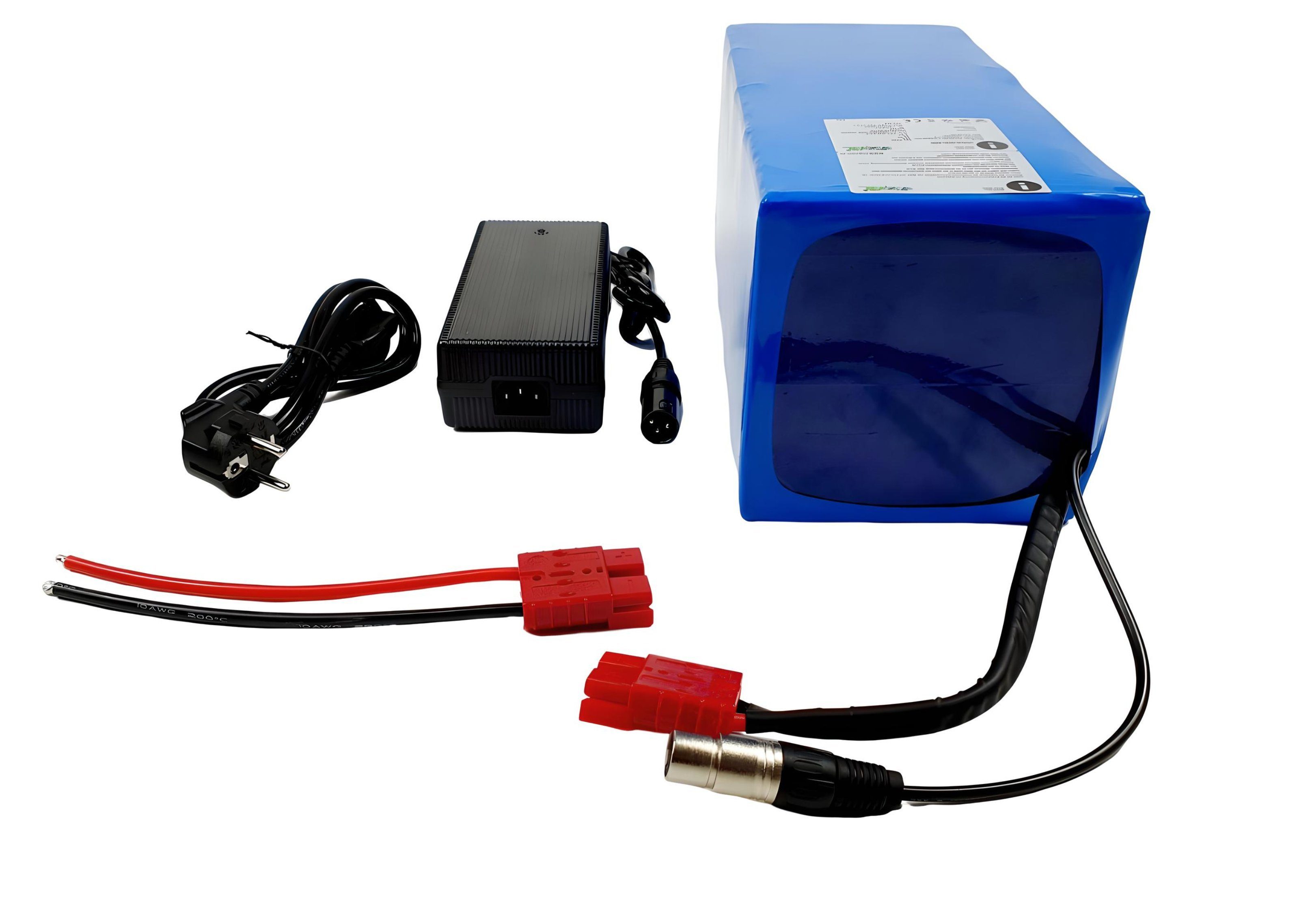 TZIpower 60V 30Ah Akkupack Pedelec e-bike Akku Umbausatz Scooter Boot Akkupacks (60 V)