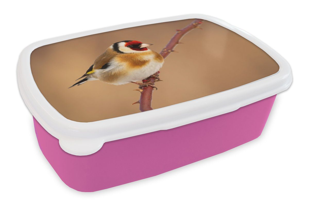 MuchoWow Lunchbox Kropftaube - Vogel - Tiere, Kunststoff, (2-tlg), Brotbox für Erwachsene, Brotdose Kinder, Snackbox, Mädchen, Kunststoff rosa